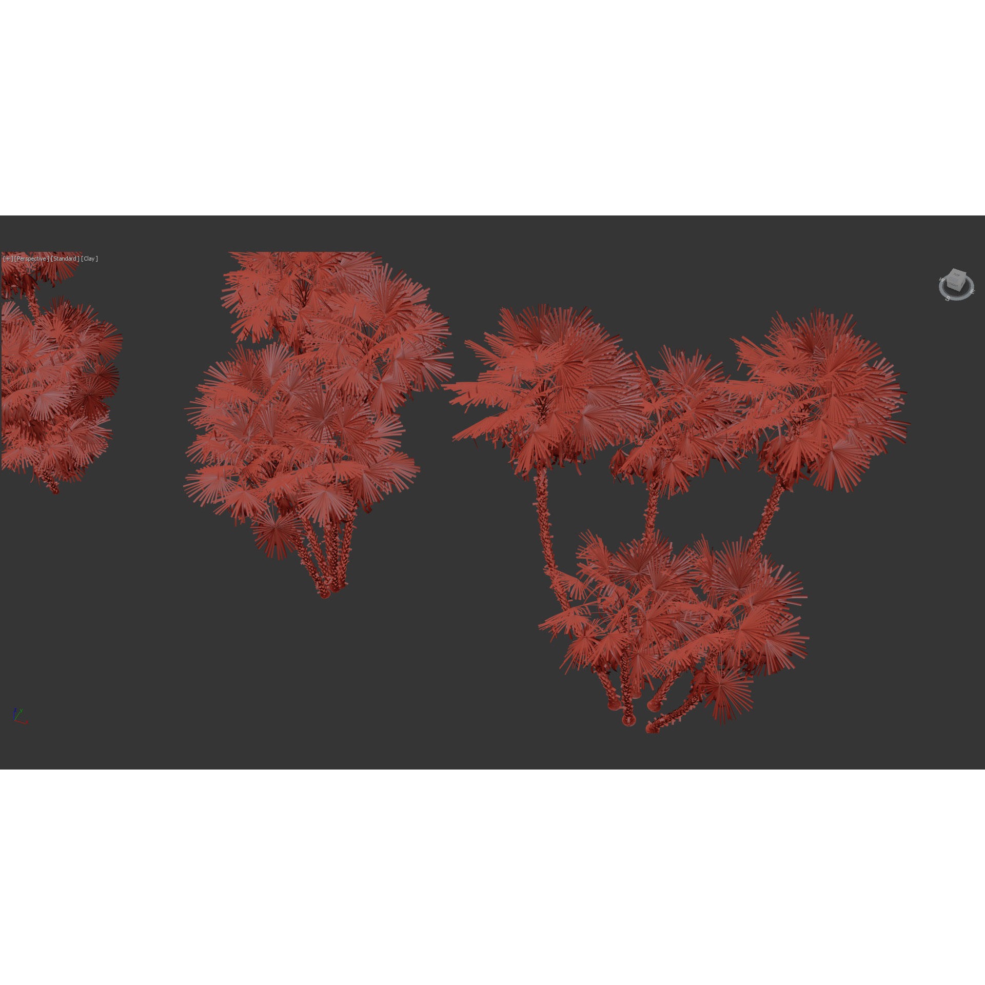 Acoelorrhaphe Wrightii - Game-Ready 3D Model - View 10