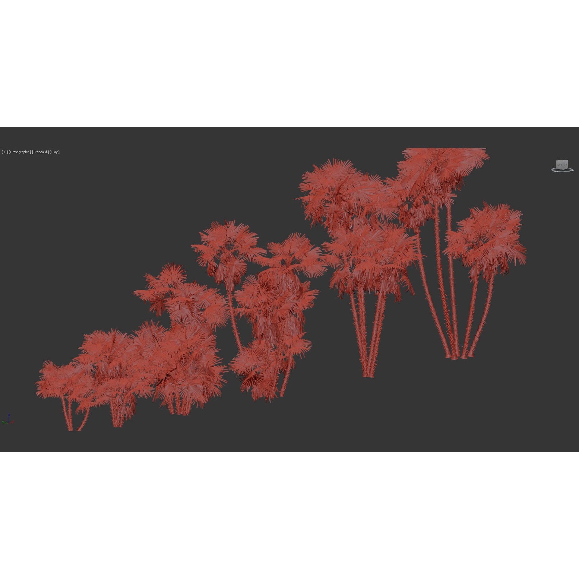 Acoelorrhaphe Wrightii - Game-Ready 3D Model - View 11