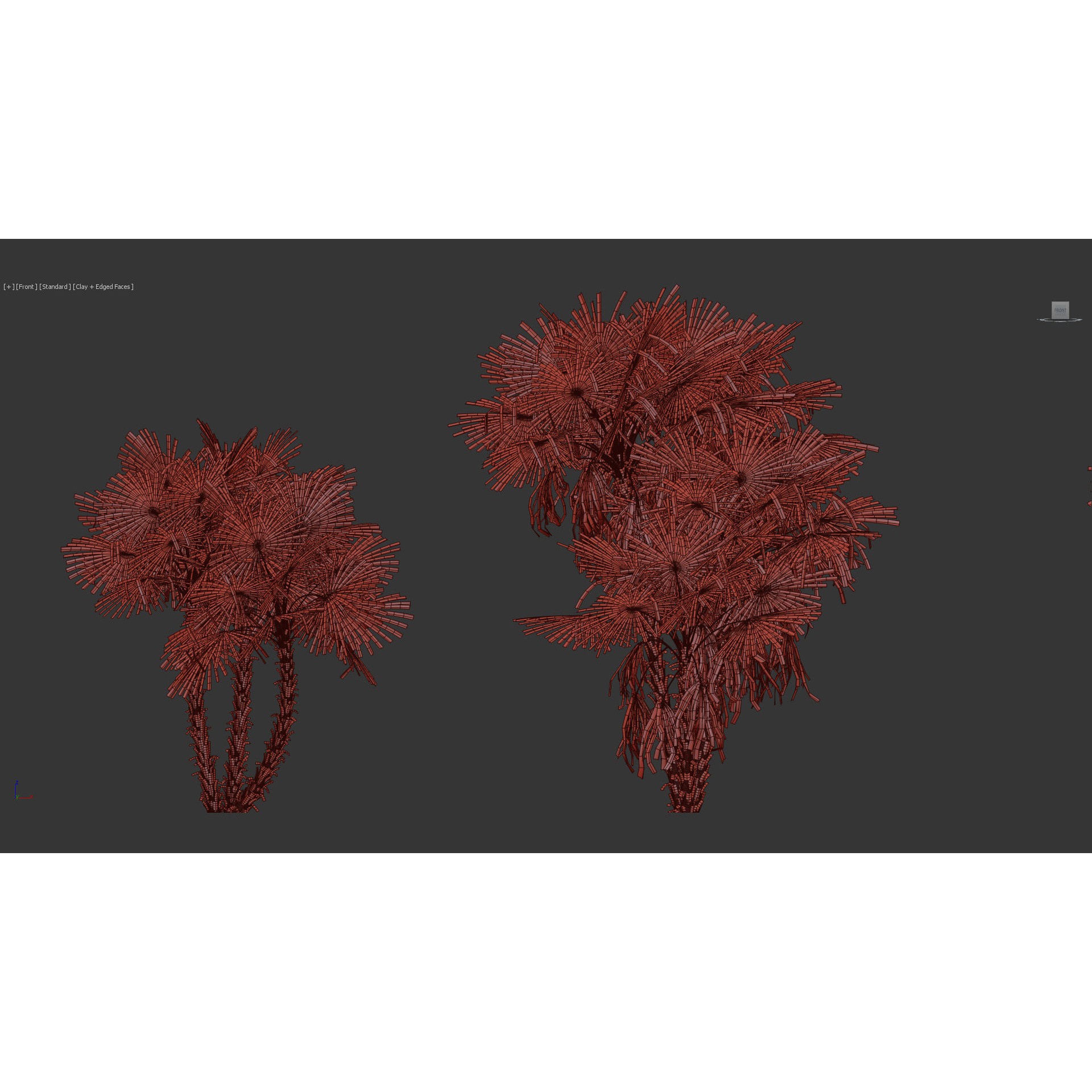 Acoelorrhaphe Wrightii - Game-Ready 3D Model - View 12