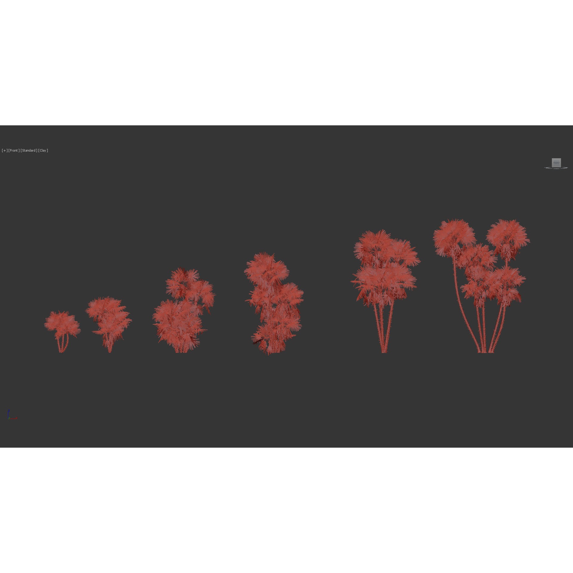 Acoelorrhaphe Wrightii - Game-Ready 3D Model - View 13