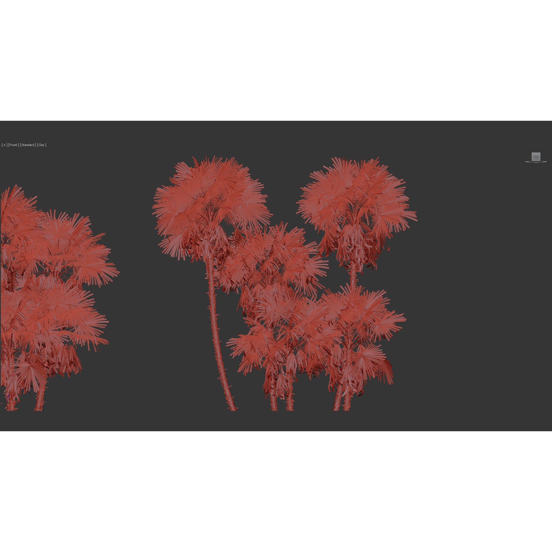 Acoelorrhaphe Wrightii - Game-Ready 3D Model - View 14