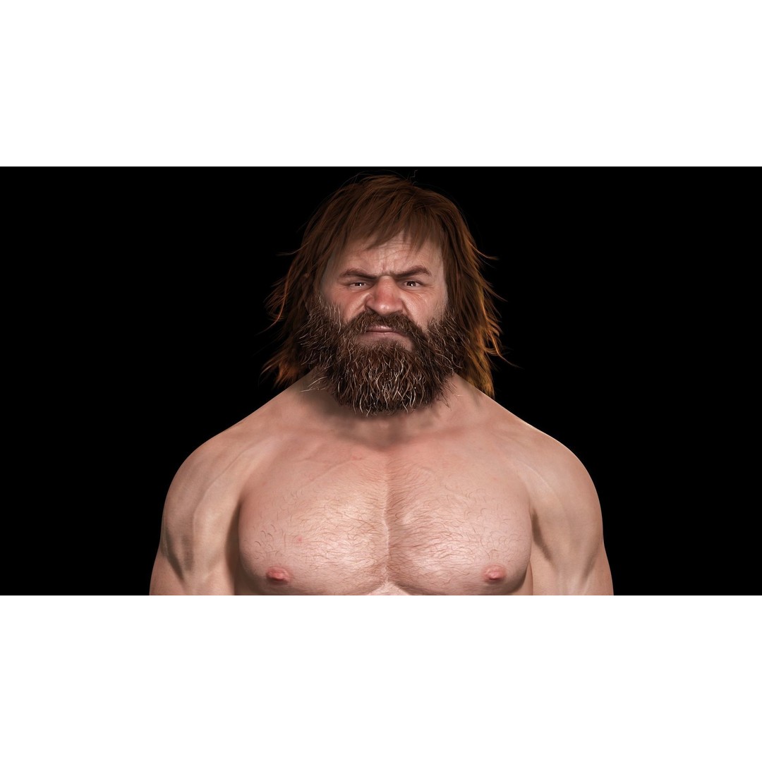 Viking Warrior 3D Model – Low Poly Rigged Character with PBR Textures - View 7