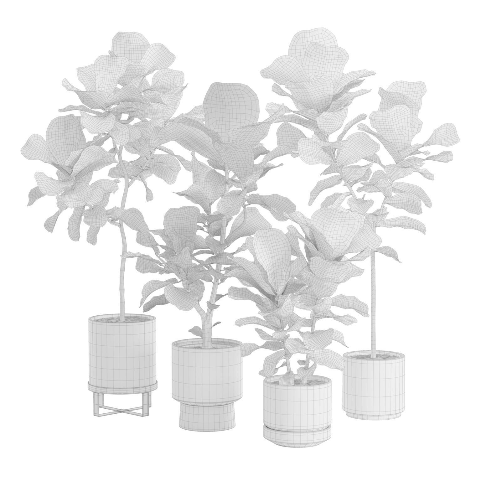 Ficus Lyrata - PBR Game-Ready 3D Model - View 3
