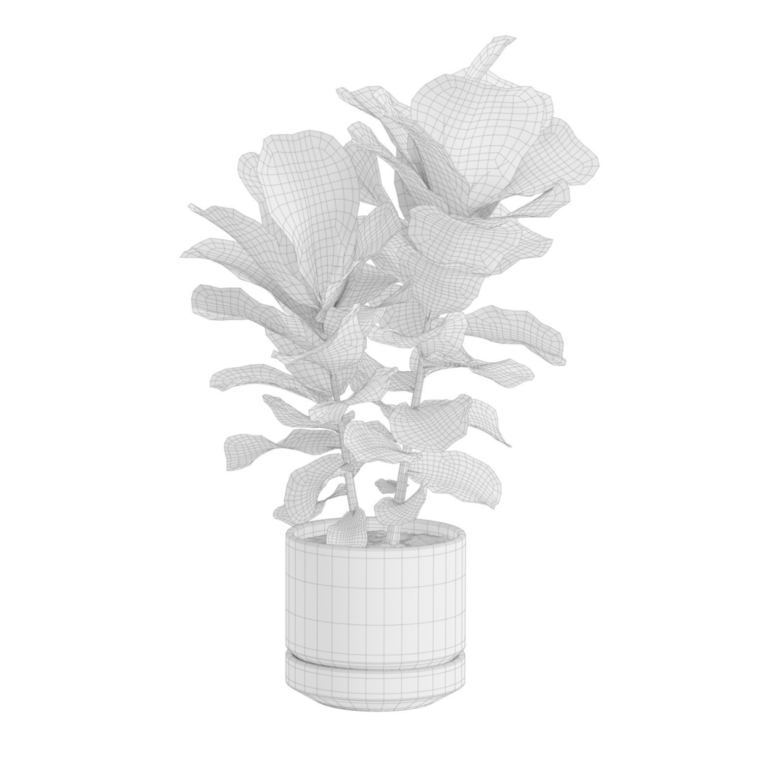 Ficus Lyrata - PBR Game-Ready 3D Model - View 8