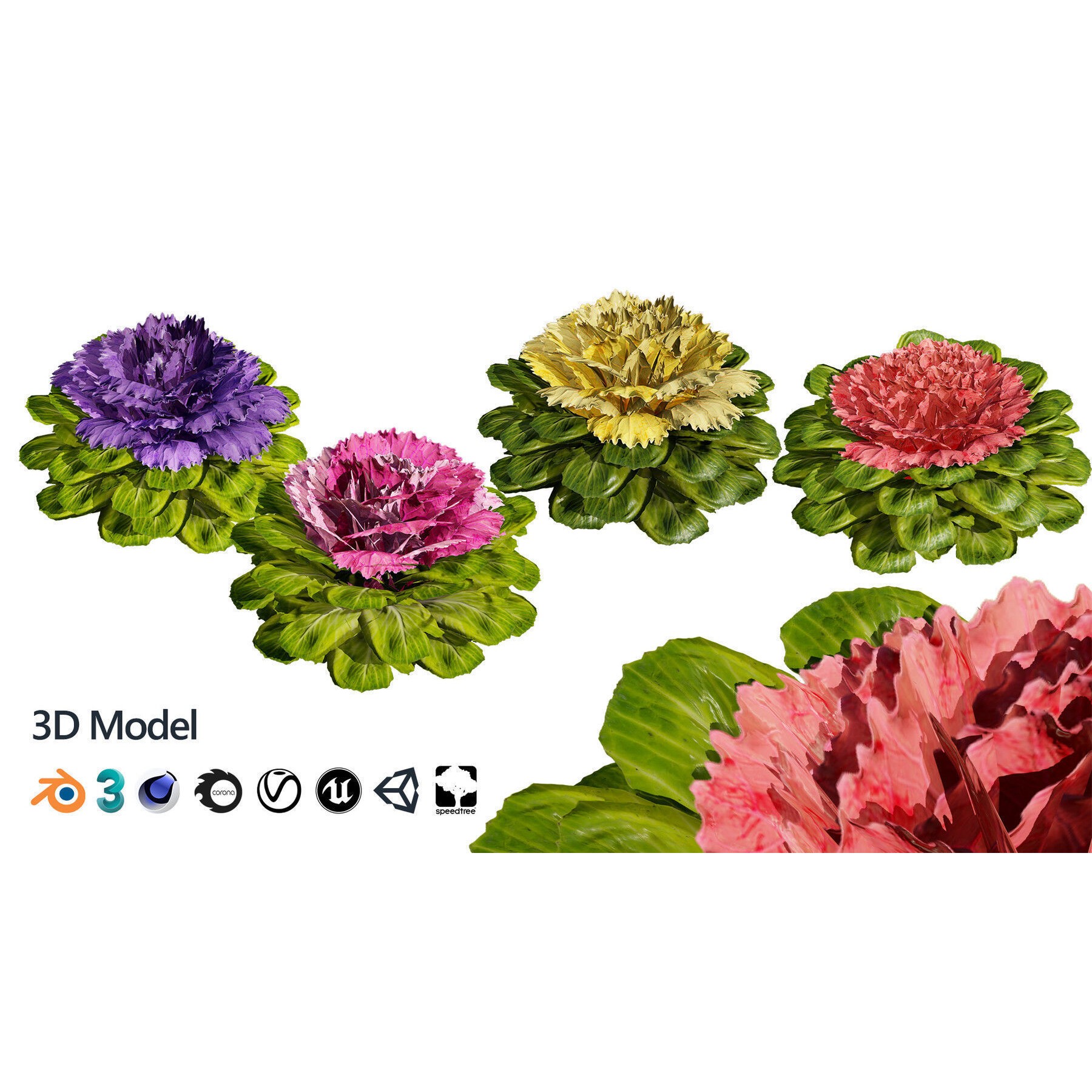 Outdoor Flowering Plants - Low-Poly Game-Ready 3D Model - View 10
