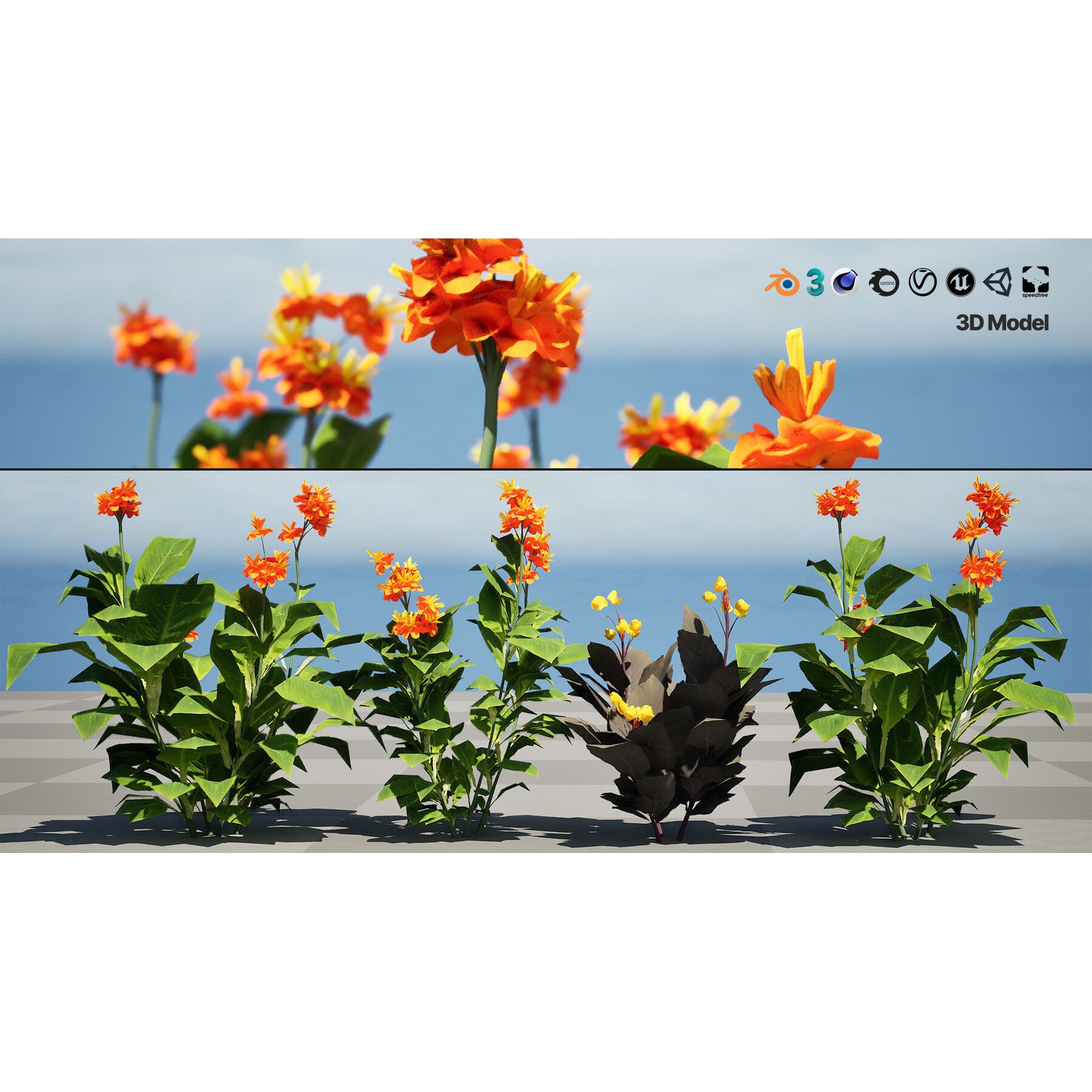 Outdoor Flowering Plants - Low-Poly Game-Ready 3D Model - View 11