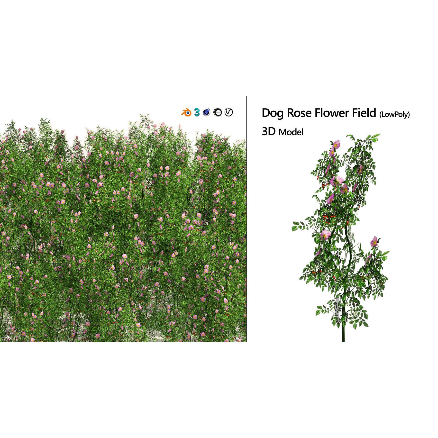 Outdoor Flowering Plants - Low-Poly Game-Ready 3D Model - View 12