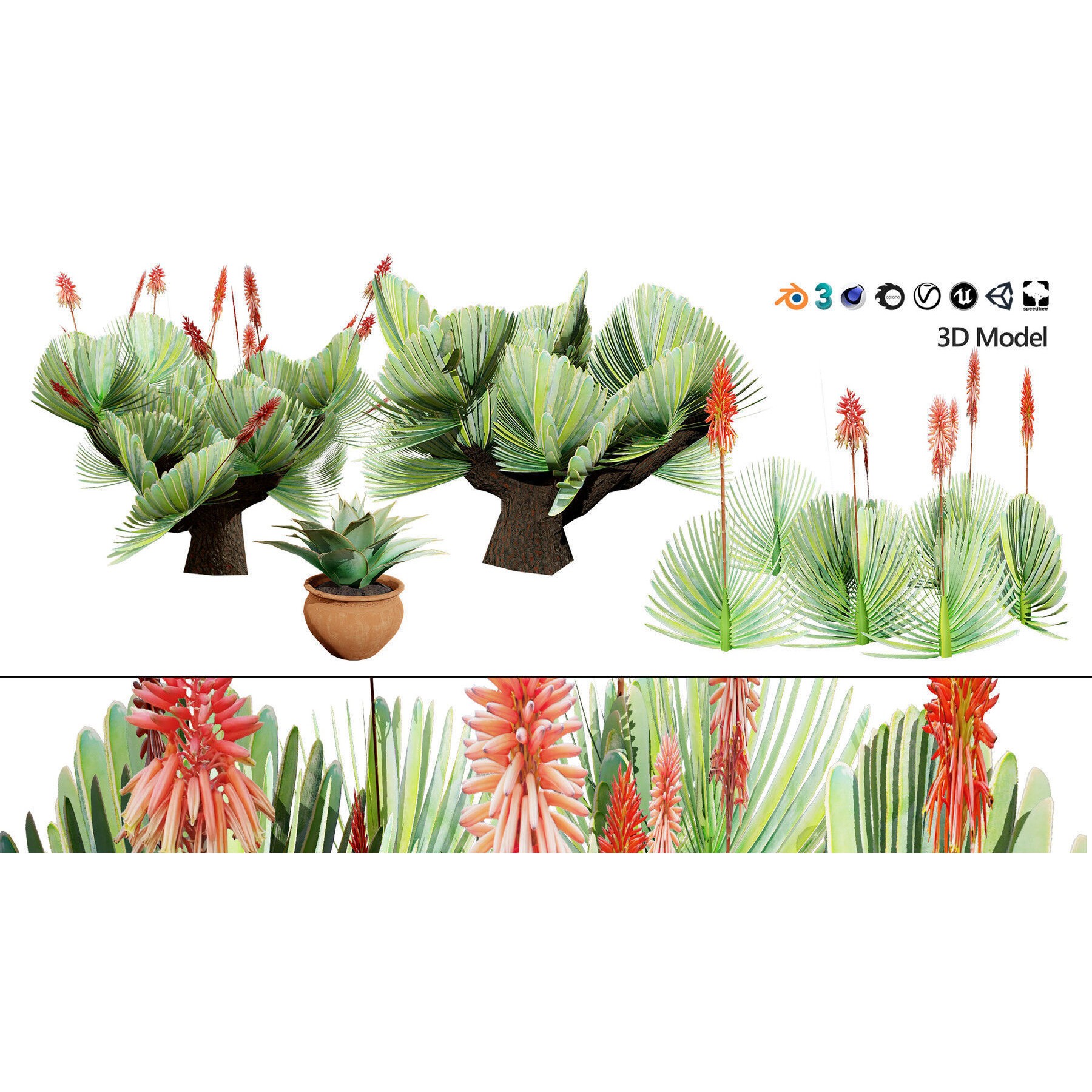 Outdoor Flowering Plants - Low-Poly Game-Ready 3D Model - View 13