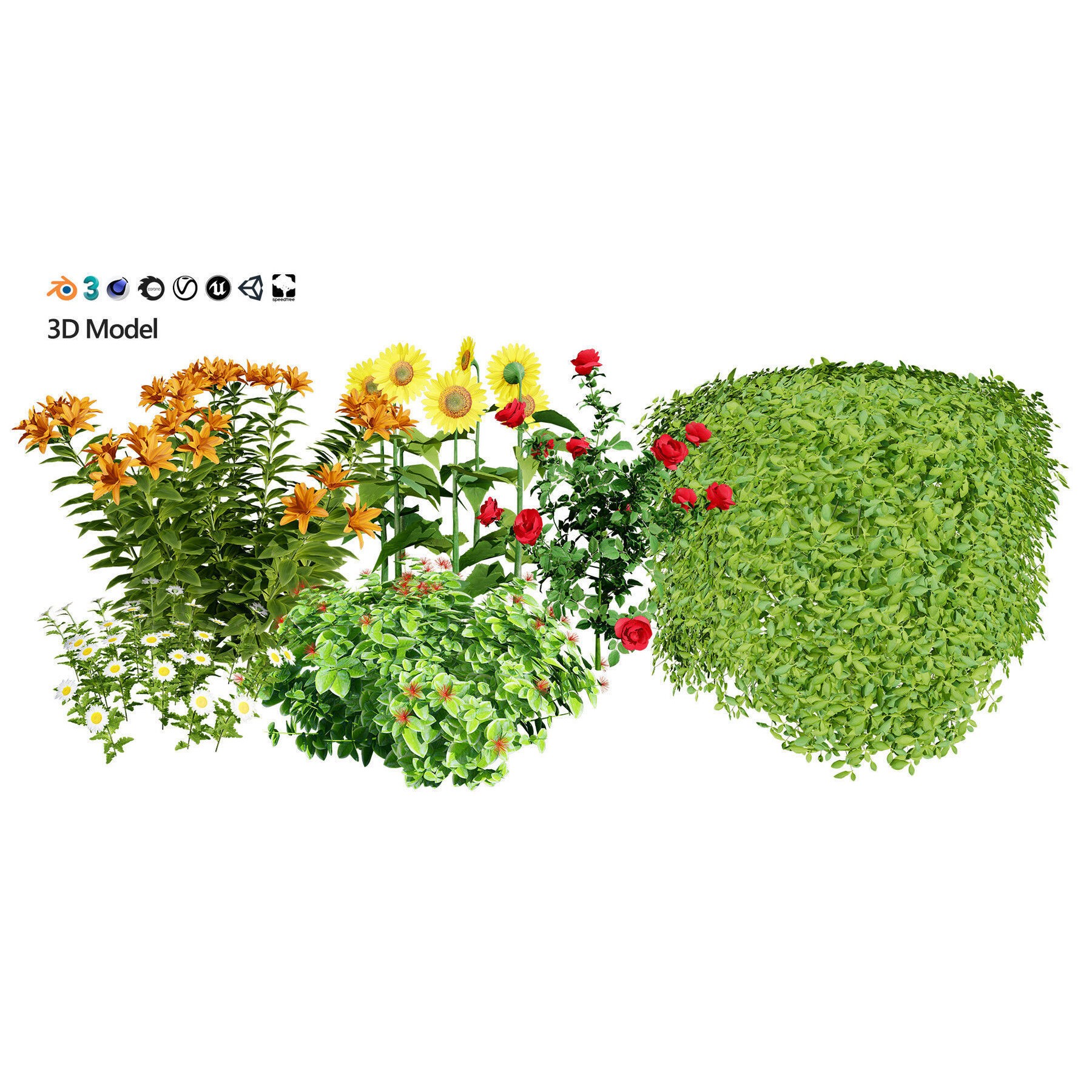Outdoor Flowering Plants - Low-Poly Game-Ready 3D Model - View 14