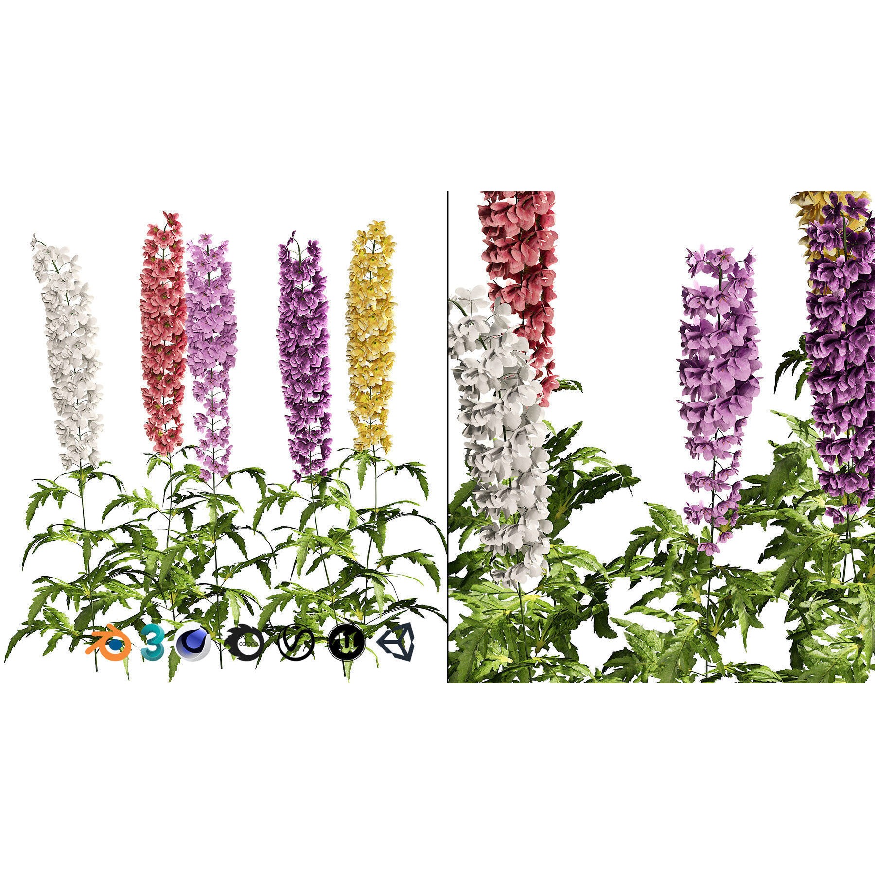 Outdoor Flowering Plants - Low-Poly Game-Ready 3D Model - View 18