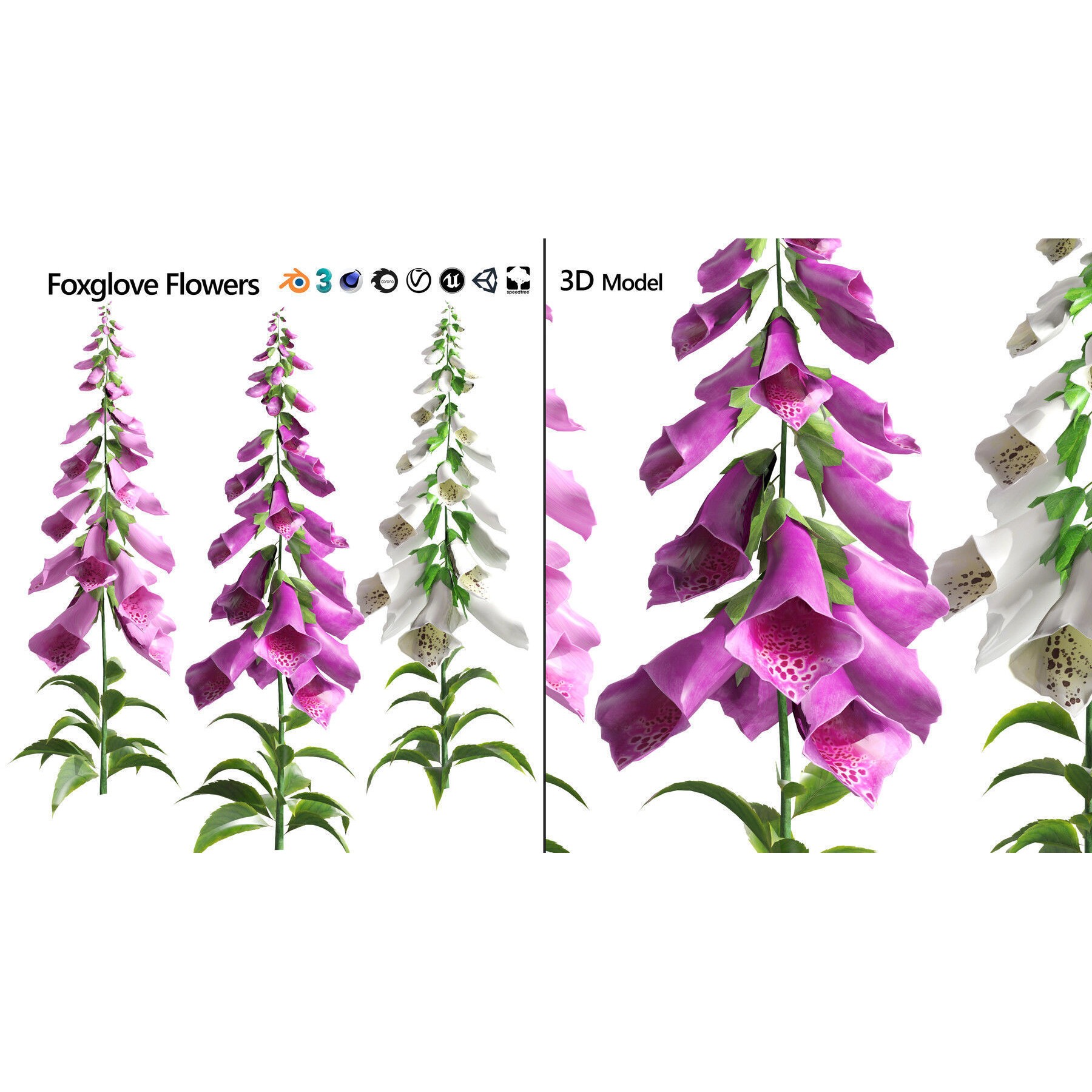 Outdoor Flowering Plants - Low-Poly Game-Ready 3D Model - View 19