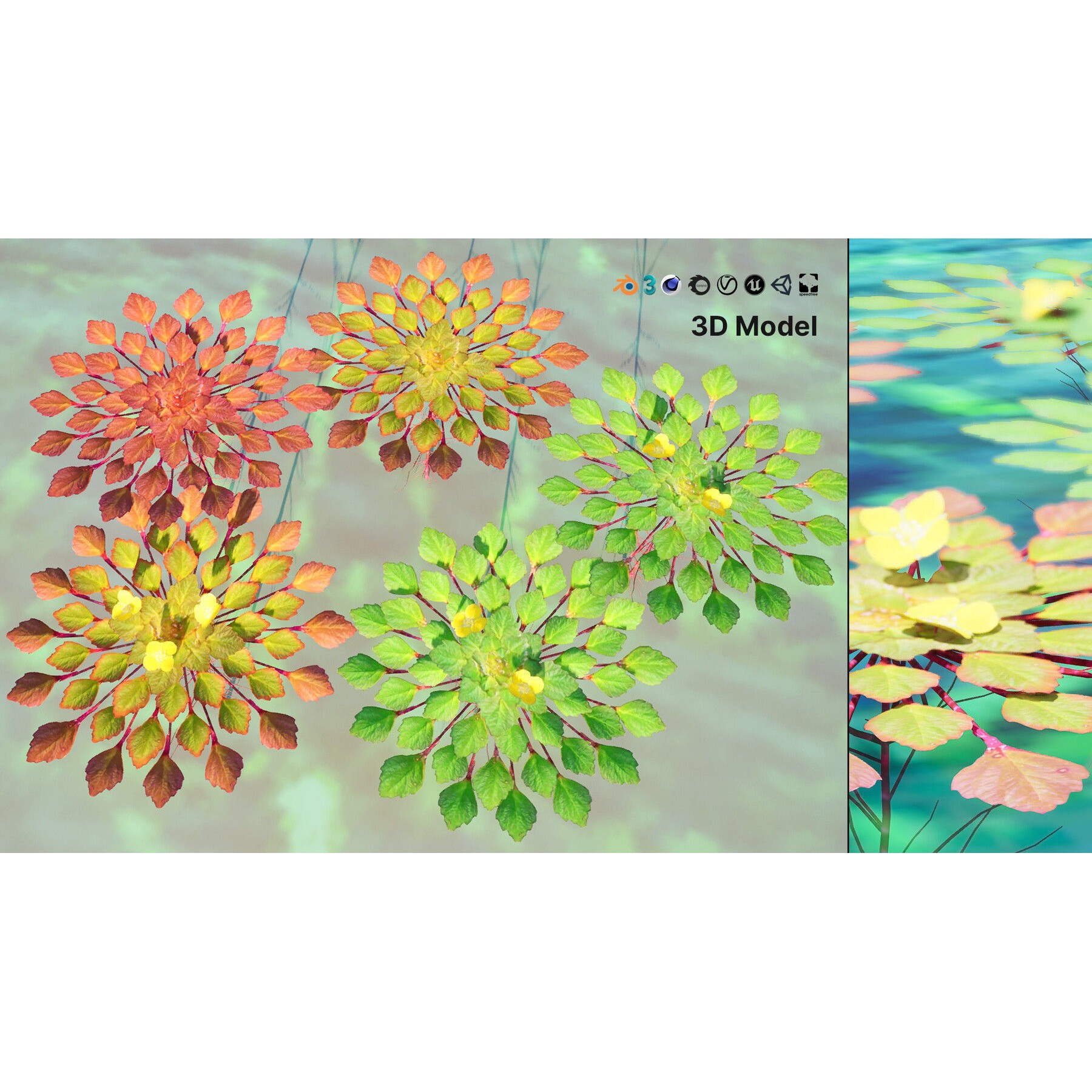 Outdoor Flowering Plants - Low-Poly Game-Ready 3D Model - View 20