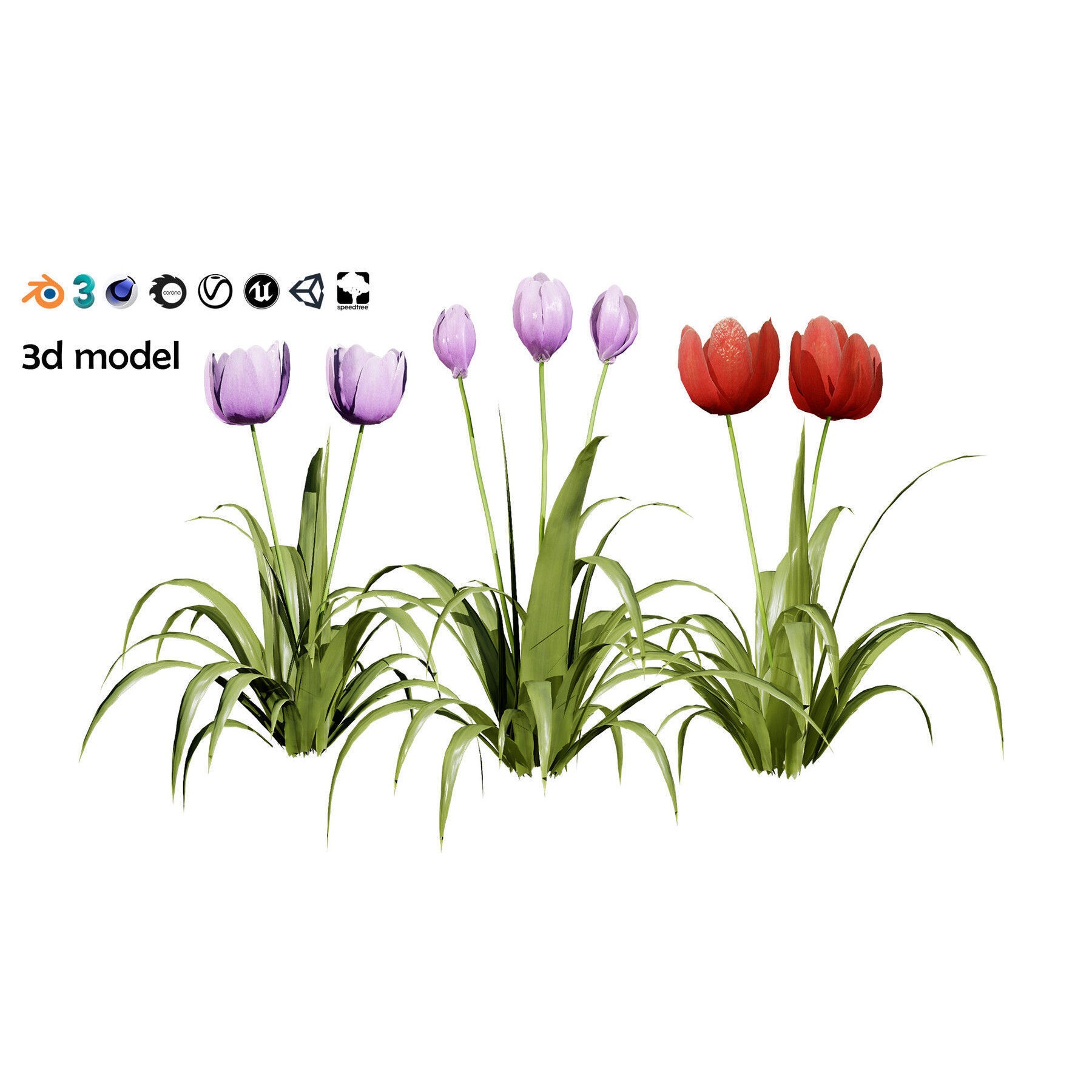 Outdoor Flowering Plants - Low-Poly Game-Ready 3D Model - View 22