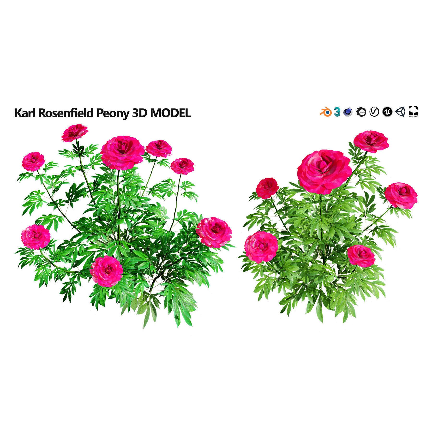 Outdoor Flowering Plants - Low-Poly Game-Ready 3D Model - View 23