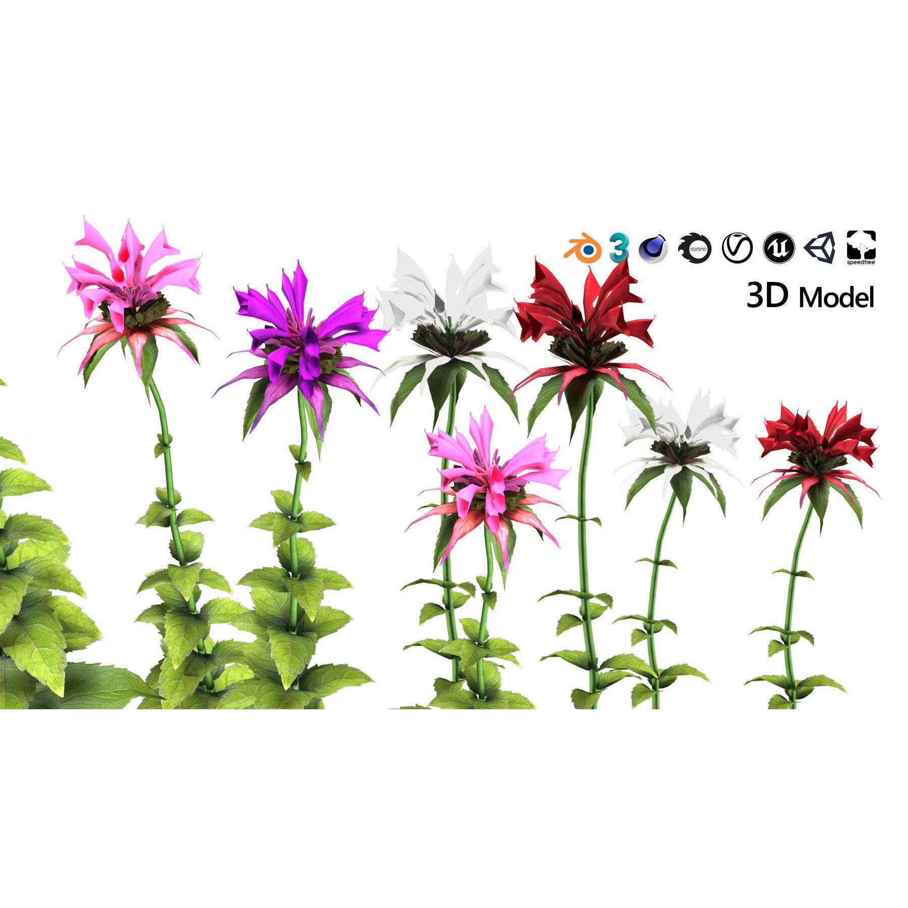 Outdoor Flowering Plants - Low-Poly Game-Ready 3D Model - View 24