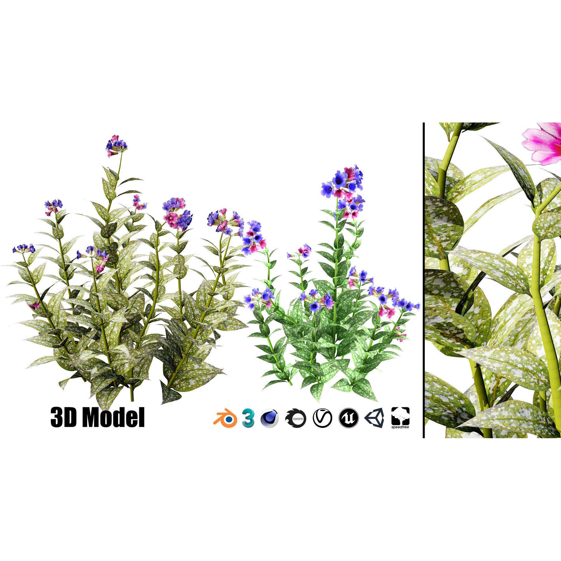 Outdoor Flowering Plants - Low-Poly Game-Ready 3D Model - View 25