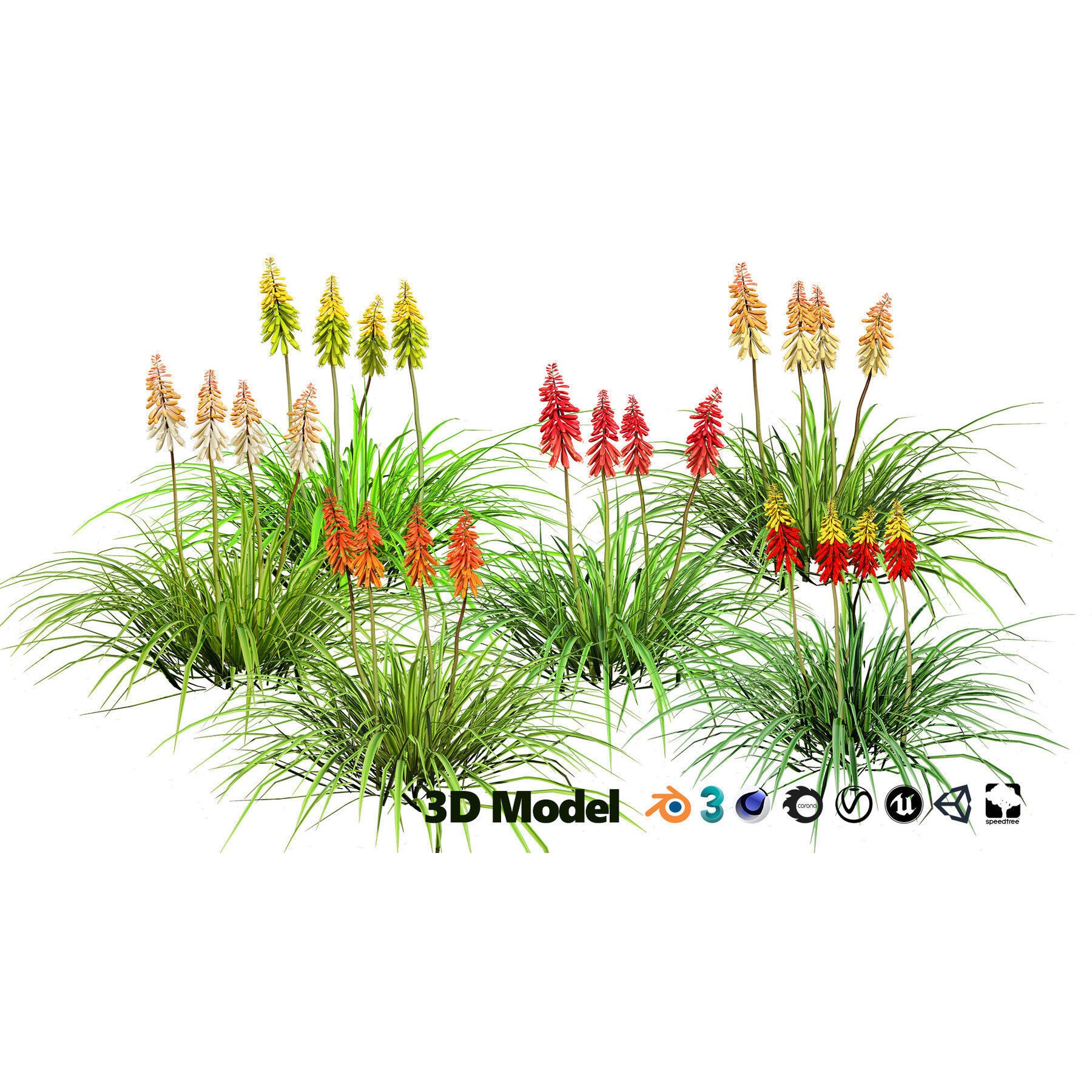 Outdoor Flowering Plants - Low-Poly Game-Ready 3D Model - View 26