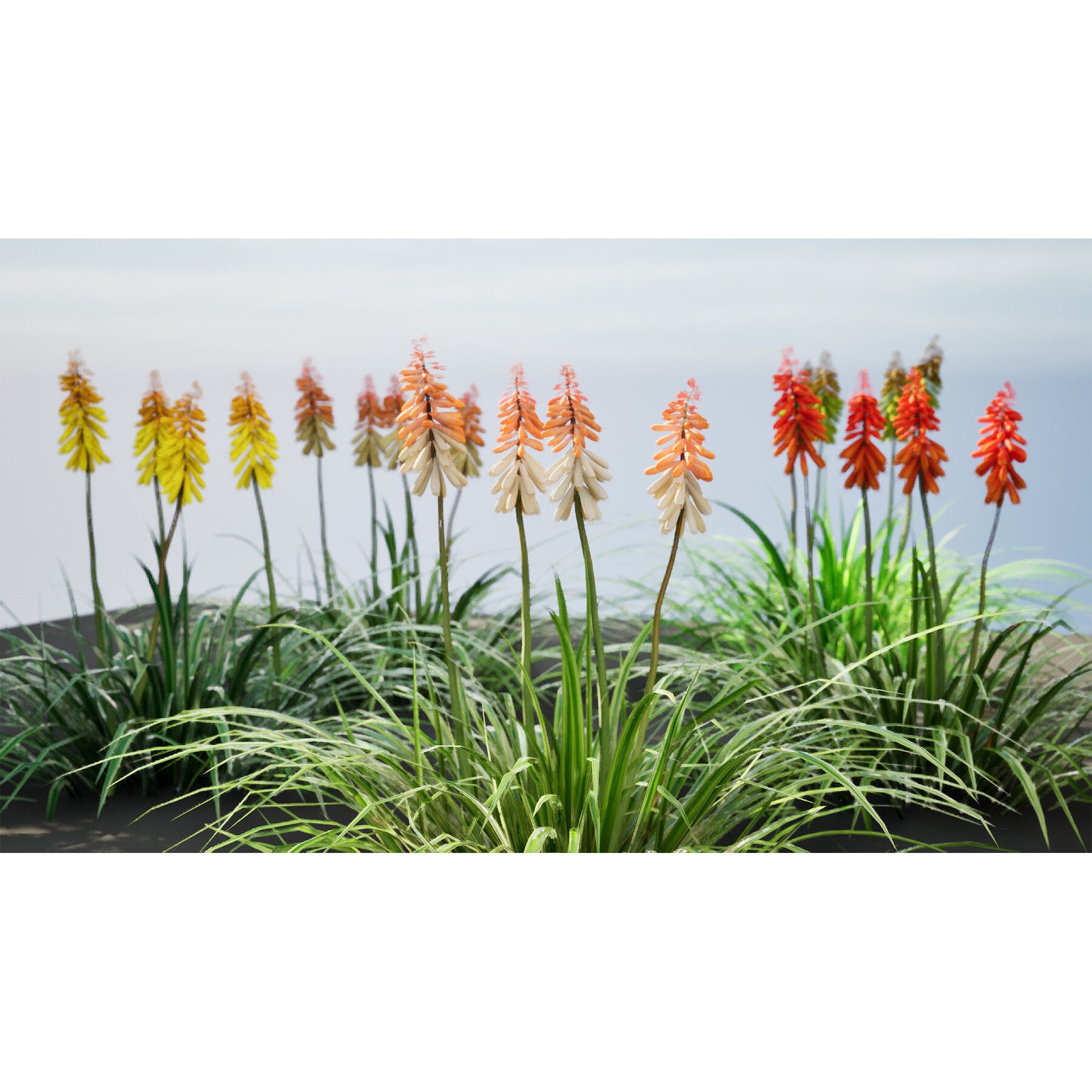 Outdoor Flowering Plants - Low-Poly Game-Ready 3D Model - View 27