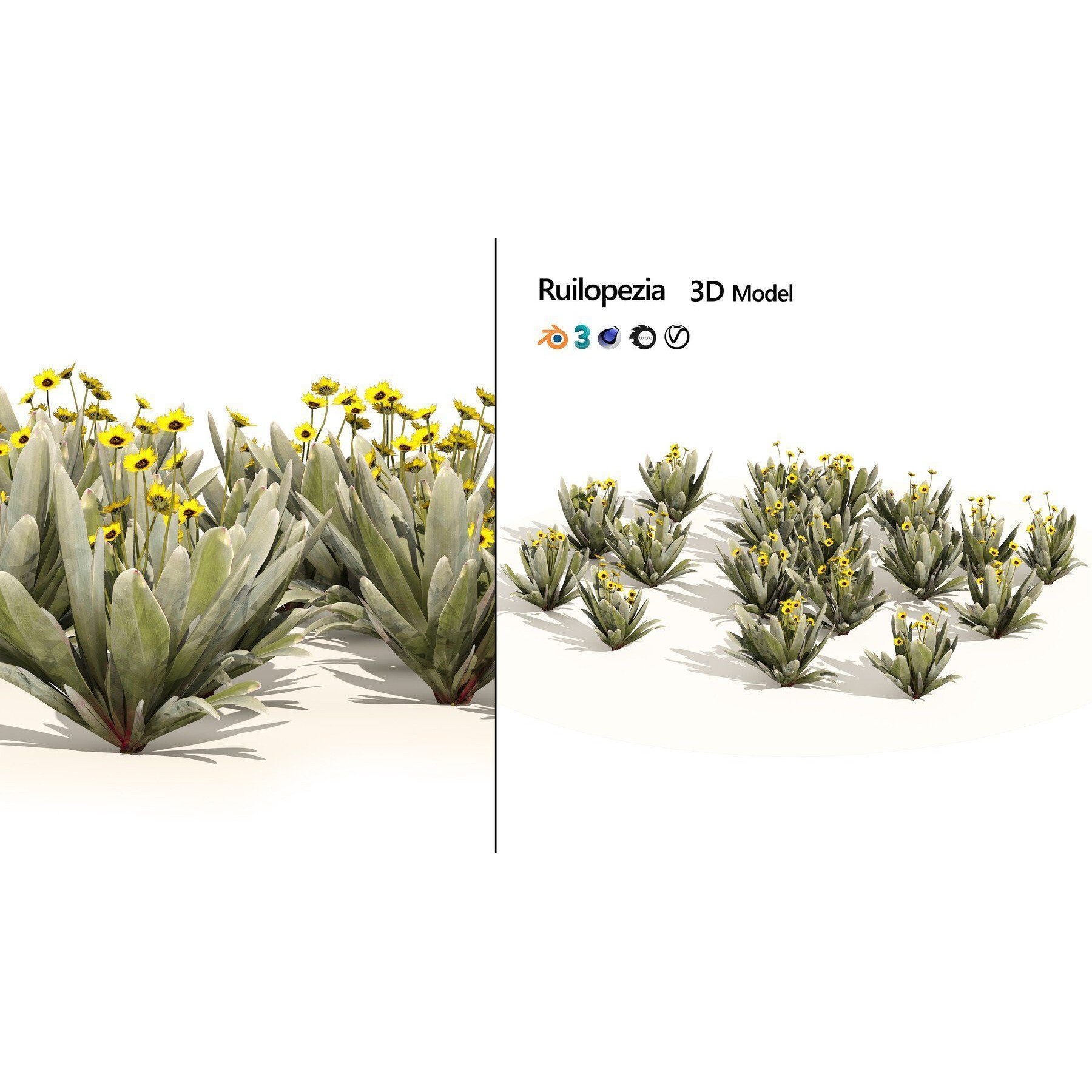Outdoor Flowering Plants - Low-Poly Game-Ready 3D Model - View 29