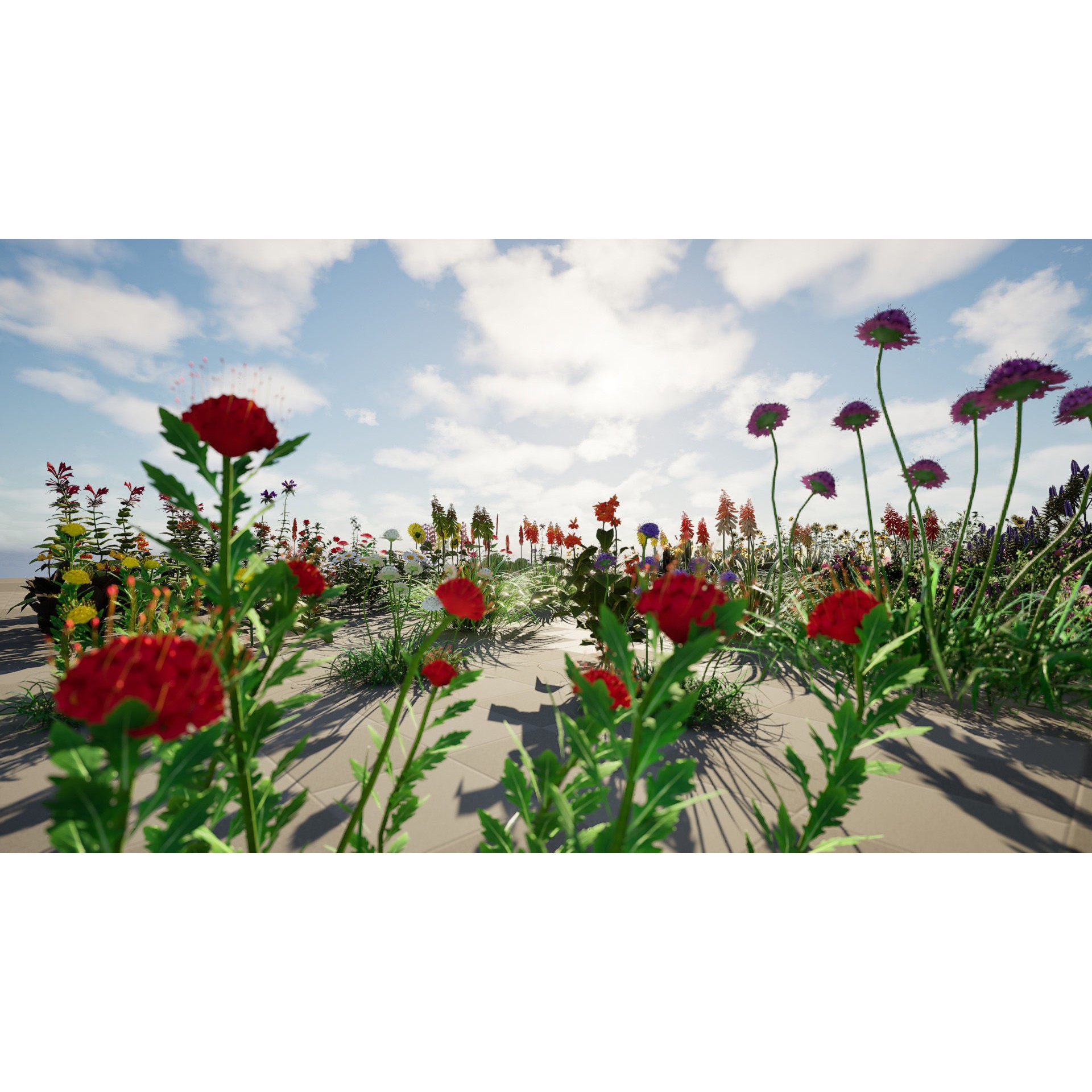 Outdoor Flowering Plants - Low-Poly Game-Ready 3D Model - View 6