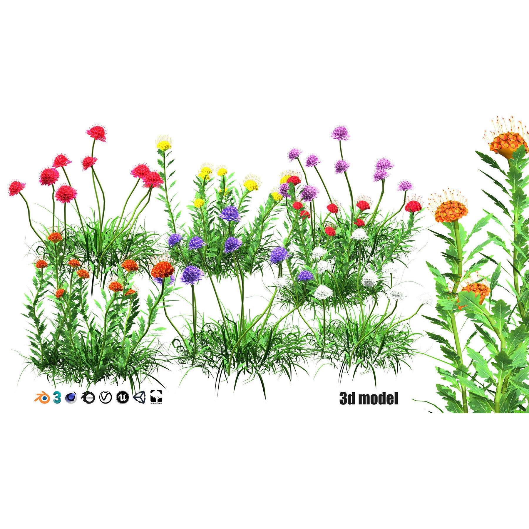 Outdoor Flowering Plants - Low-Poly Game-Ready 3D Model - View 7