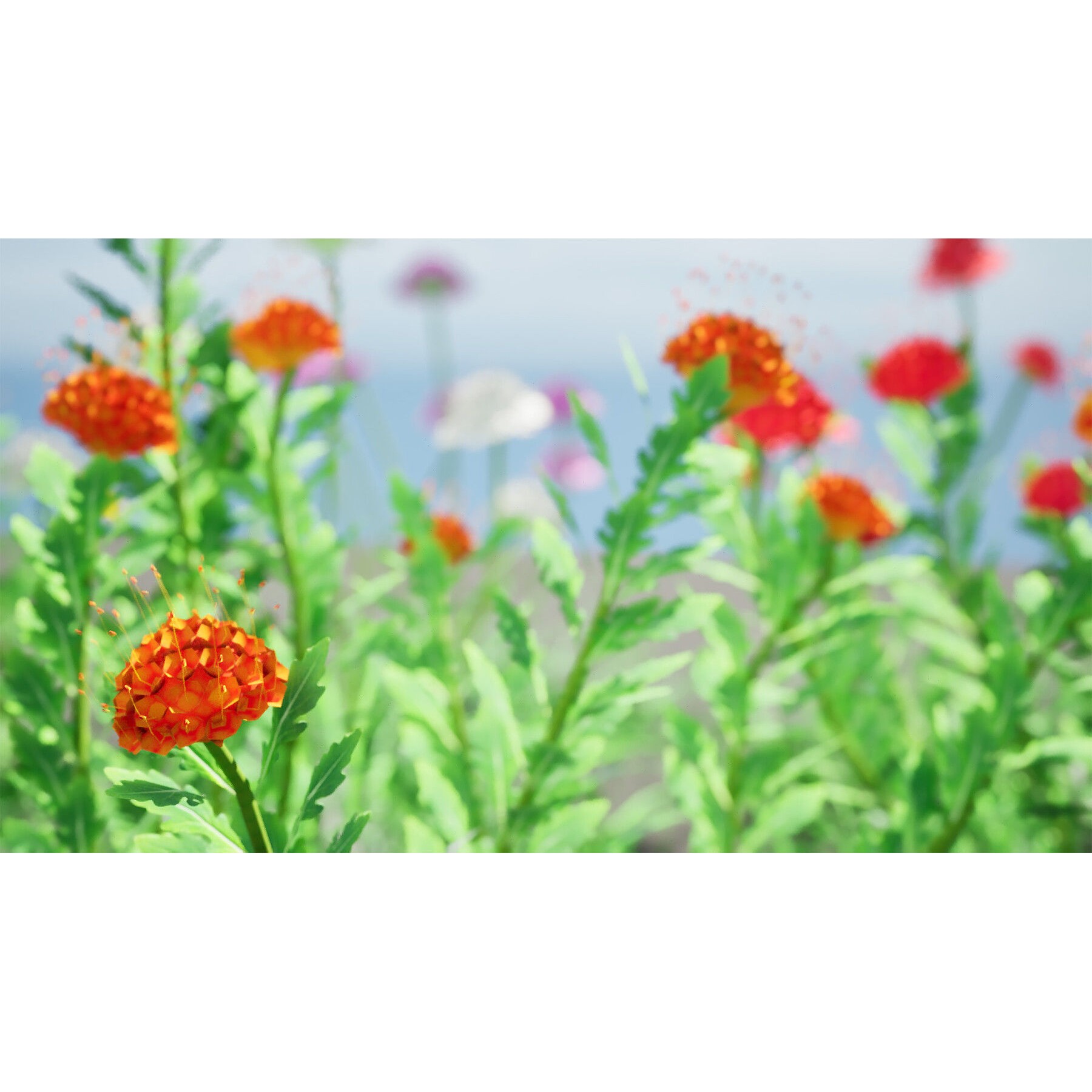 Outdoor Flowering Plants - Low-Poly Game-Ready 3D Model - View 8