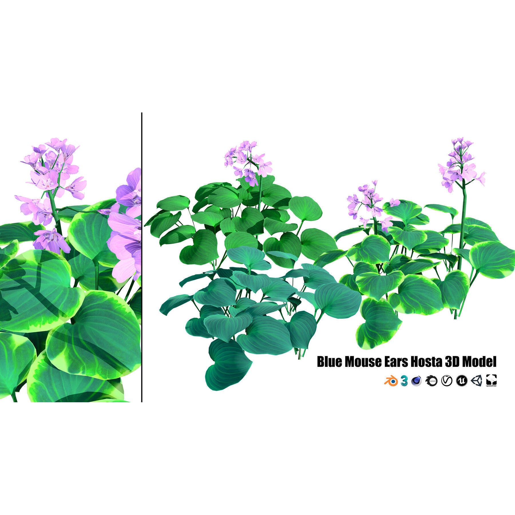 Outdoor Flowering Plants - Low-Poly Game-Ready 3D Model - View 9