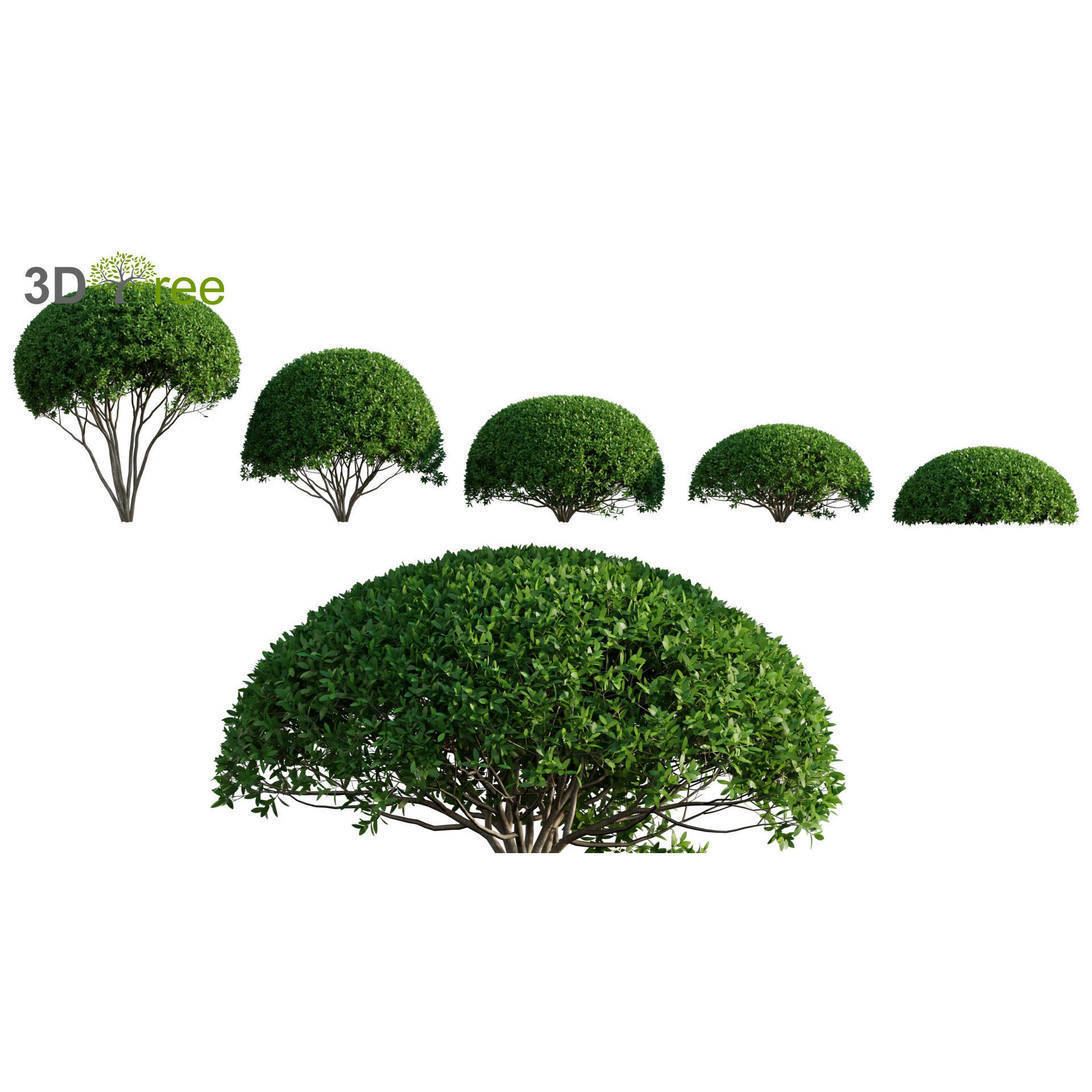 Japanese Garden - Low-Poly Game-Ready 3D Model