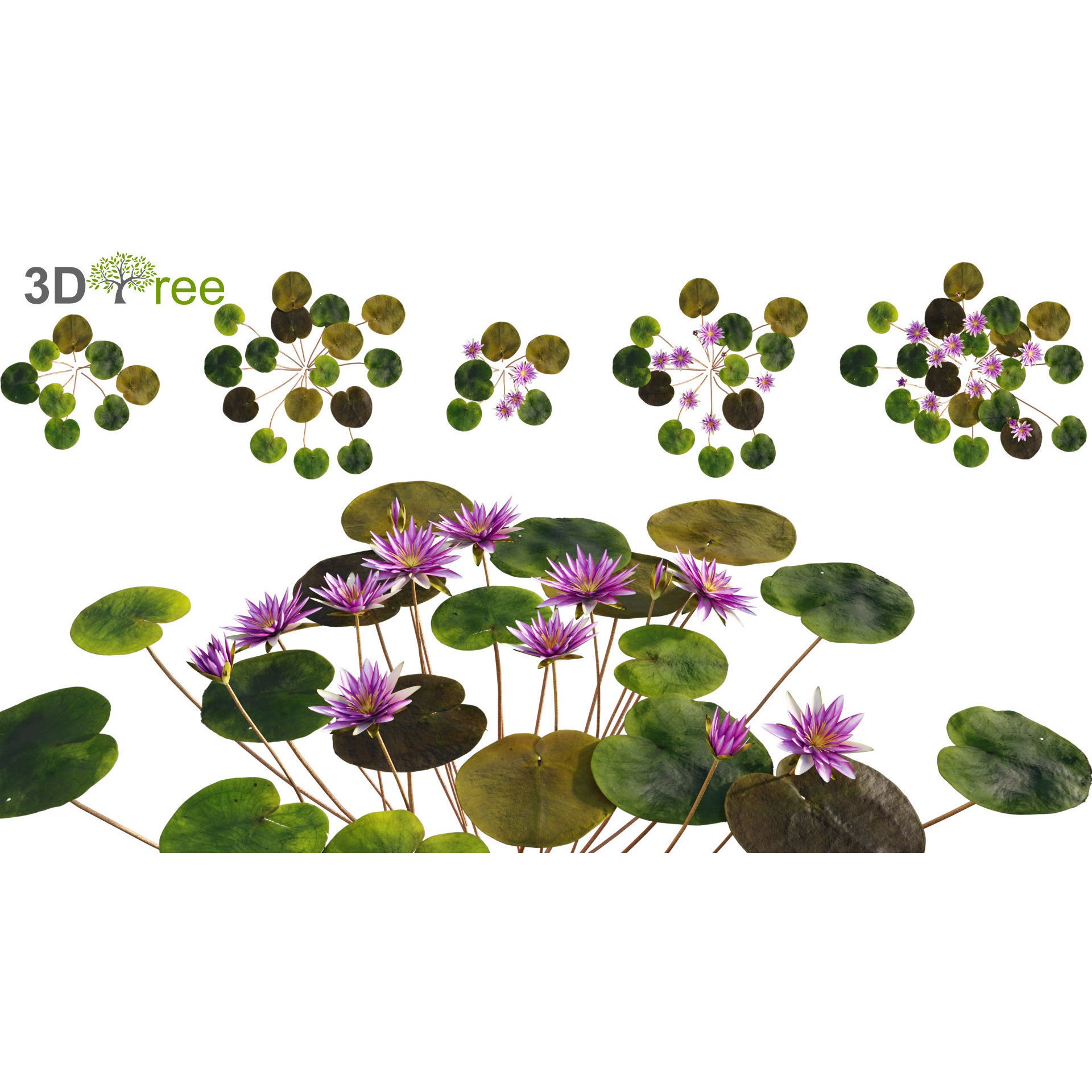 Japanese Garden - Low-Poly Game-Ready 3D Model - View 10