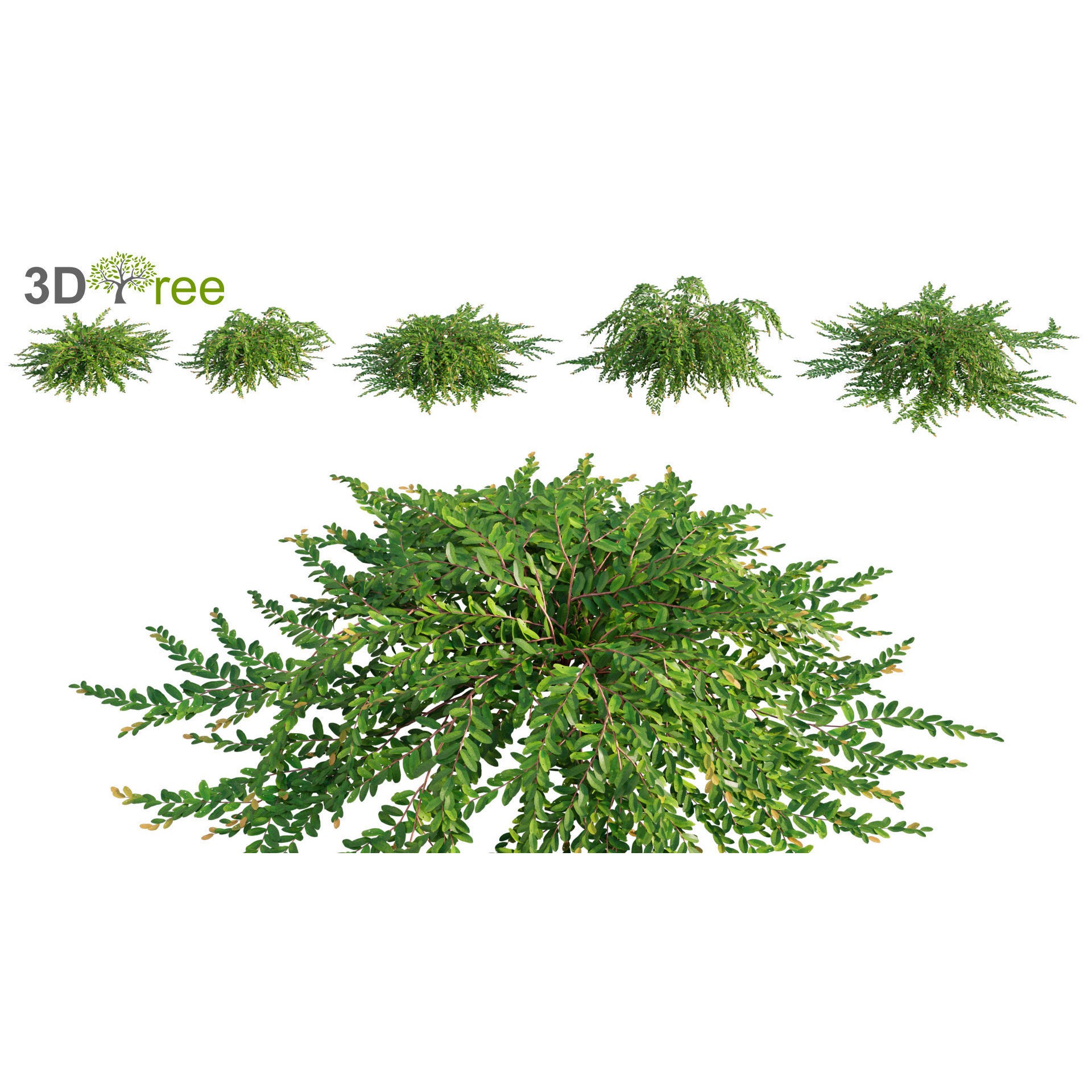 Japanese Garden - Low-Poly Game-Ready 3D Model - View 12