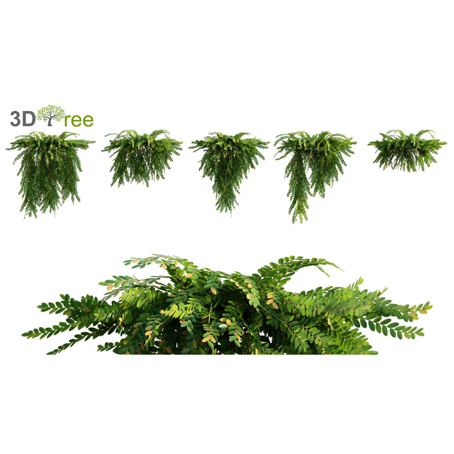 Japanese Garden - Low-Poly Game-Ready 3D Model - View 13