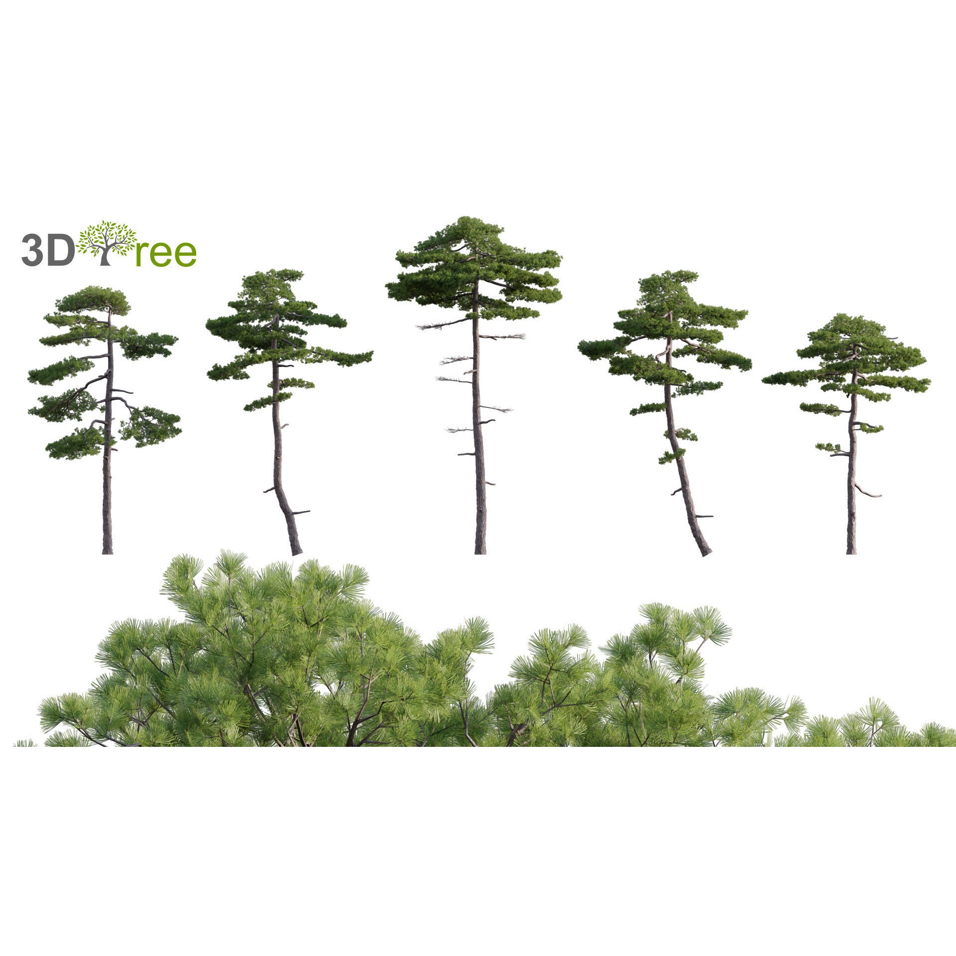 Japanese Garden - Low-Poly Game-Ready 3D Model - View 14