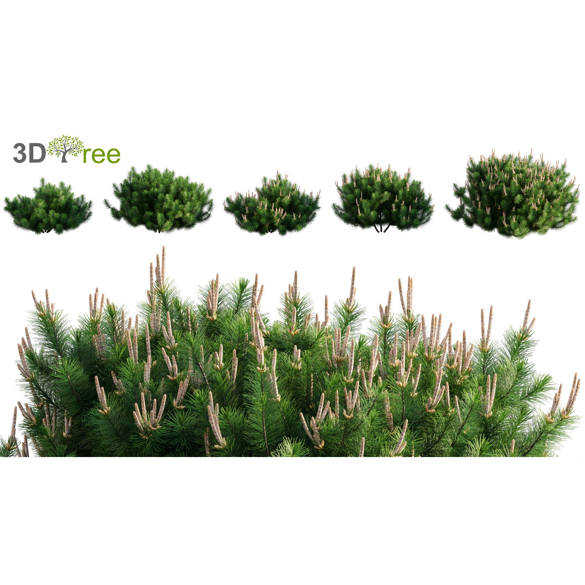 Japanese Garden - Low-Poly Game-Ready 3D Model - View 16