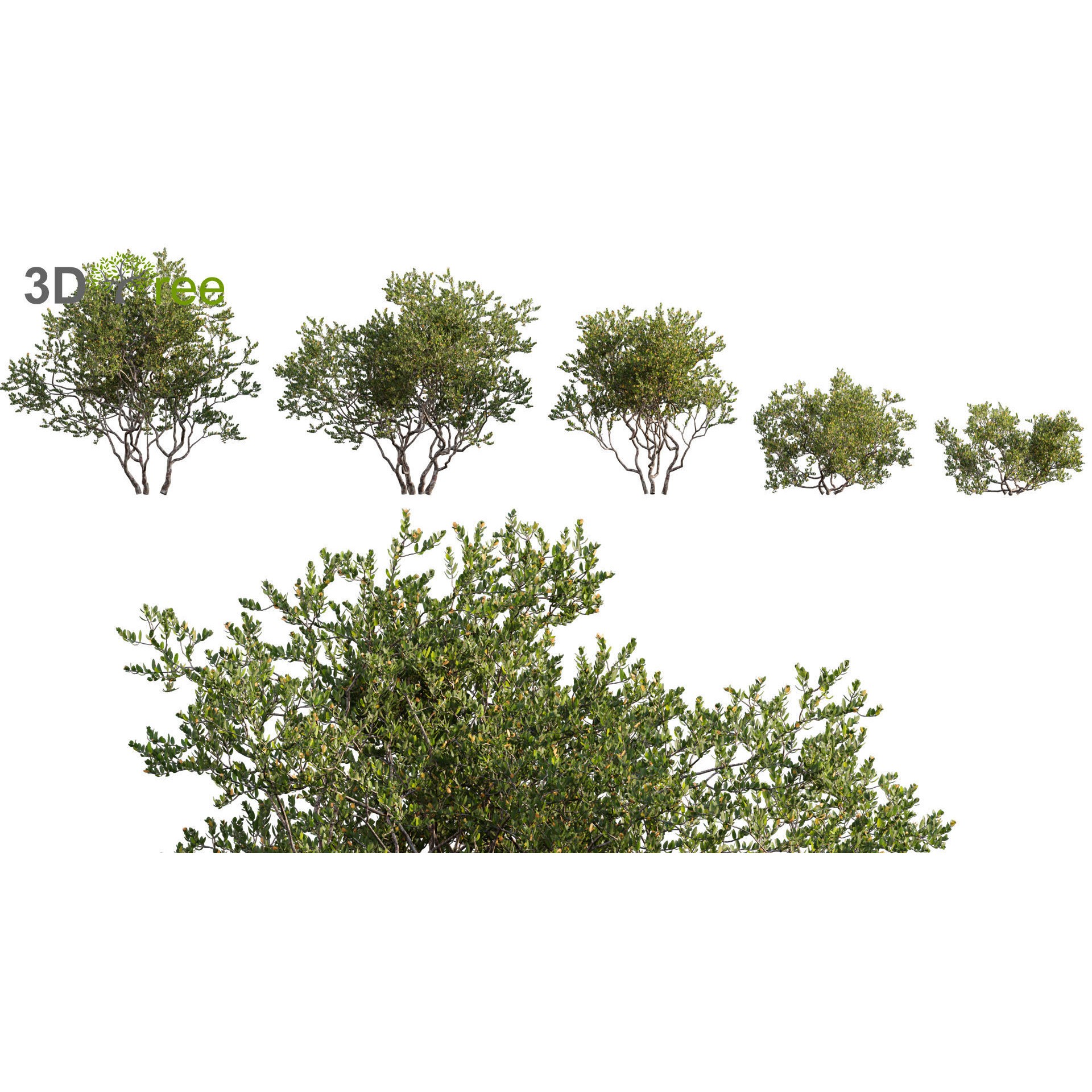 Japanese Garden - Low-Poly Game-Ready 3D Model - View 7