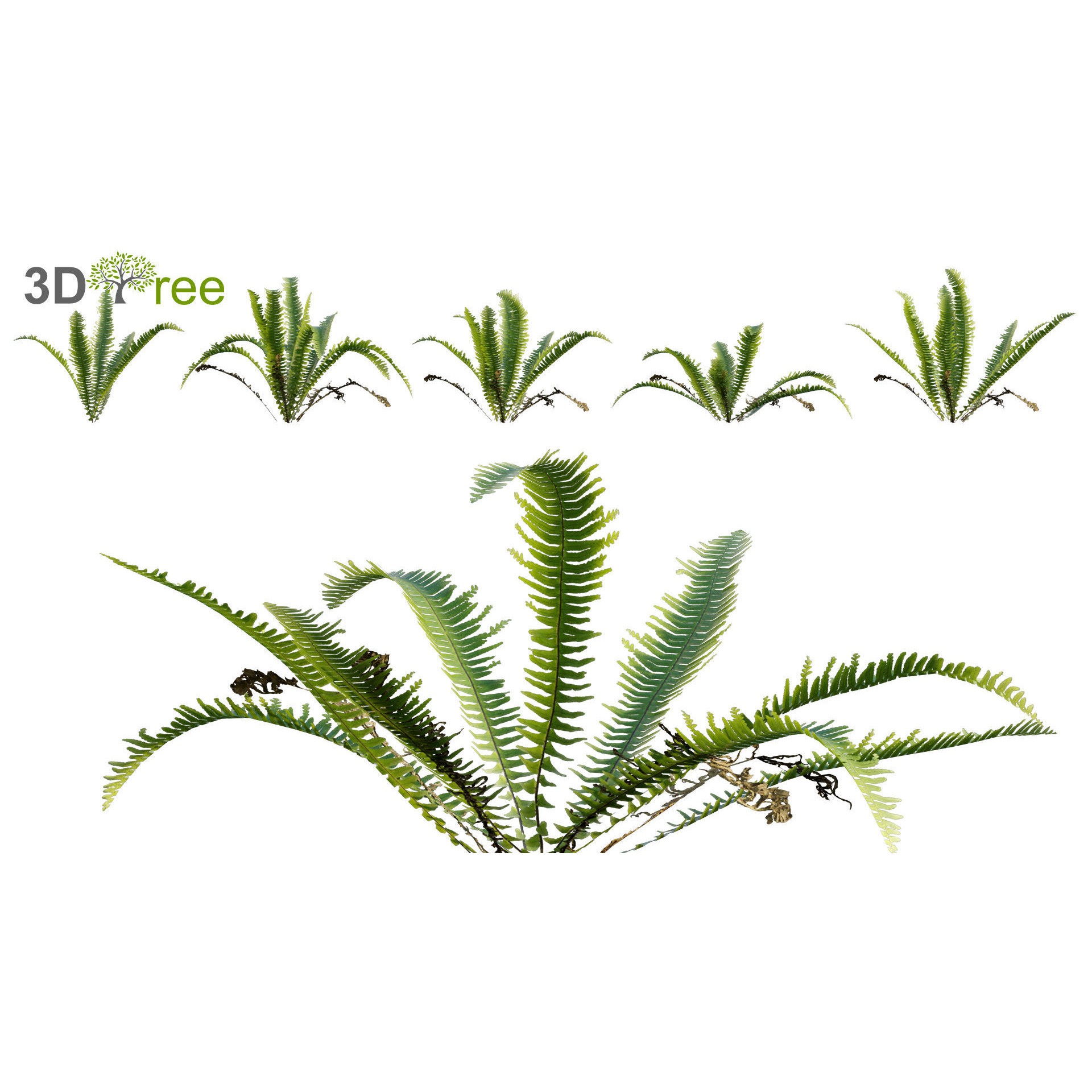 Japanese Garden - Low-Poly Game-Ready 3D Model - View 8