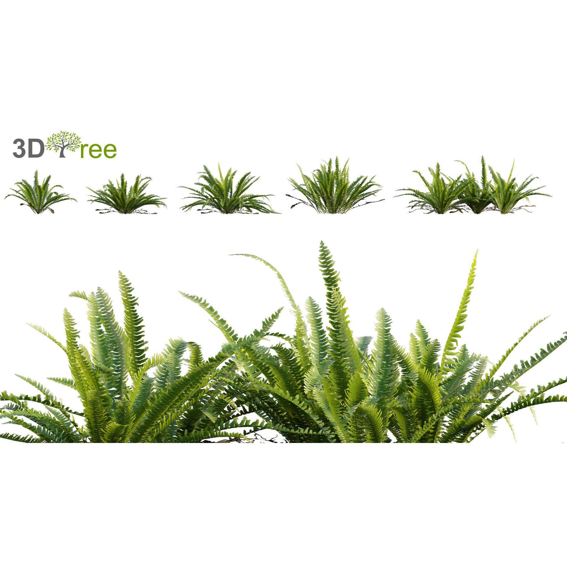 Japanese Garden - Low-Poly Game-Ready 3D Model - View 9