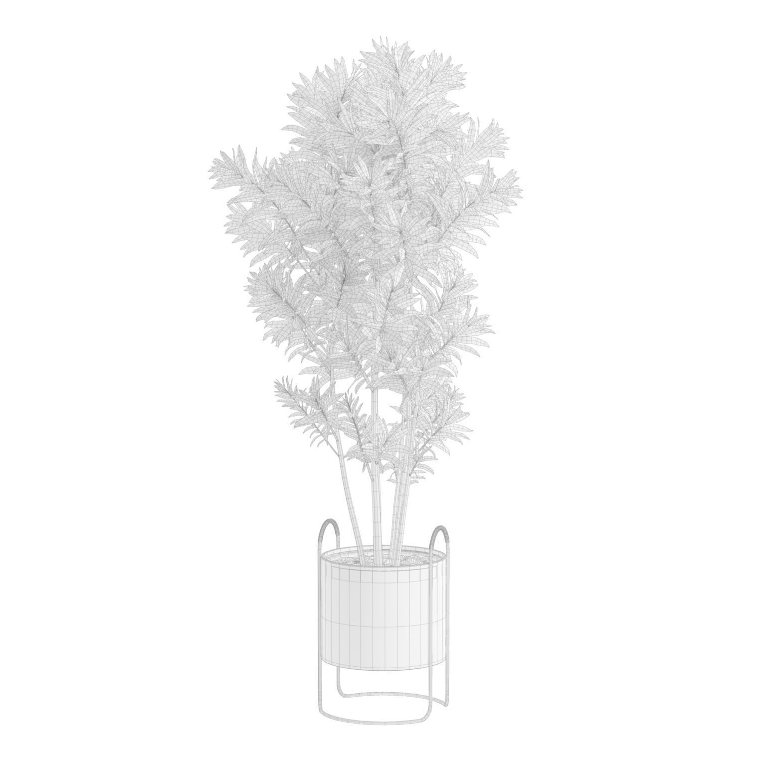 Dracaena Reflexa - PBR Game-Ready 3D Model - View 4