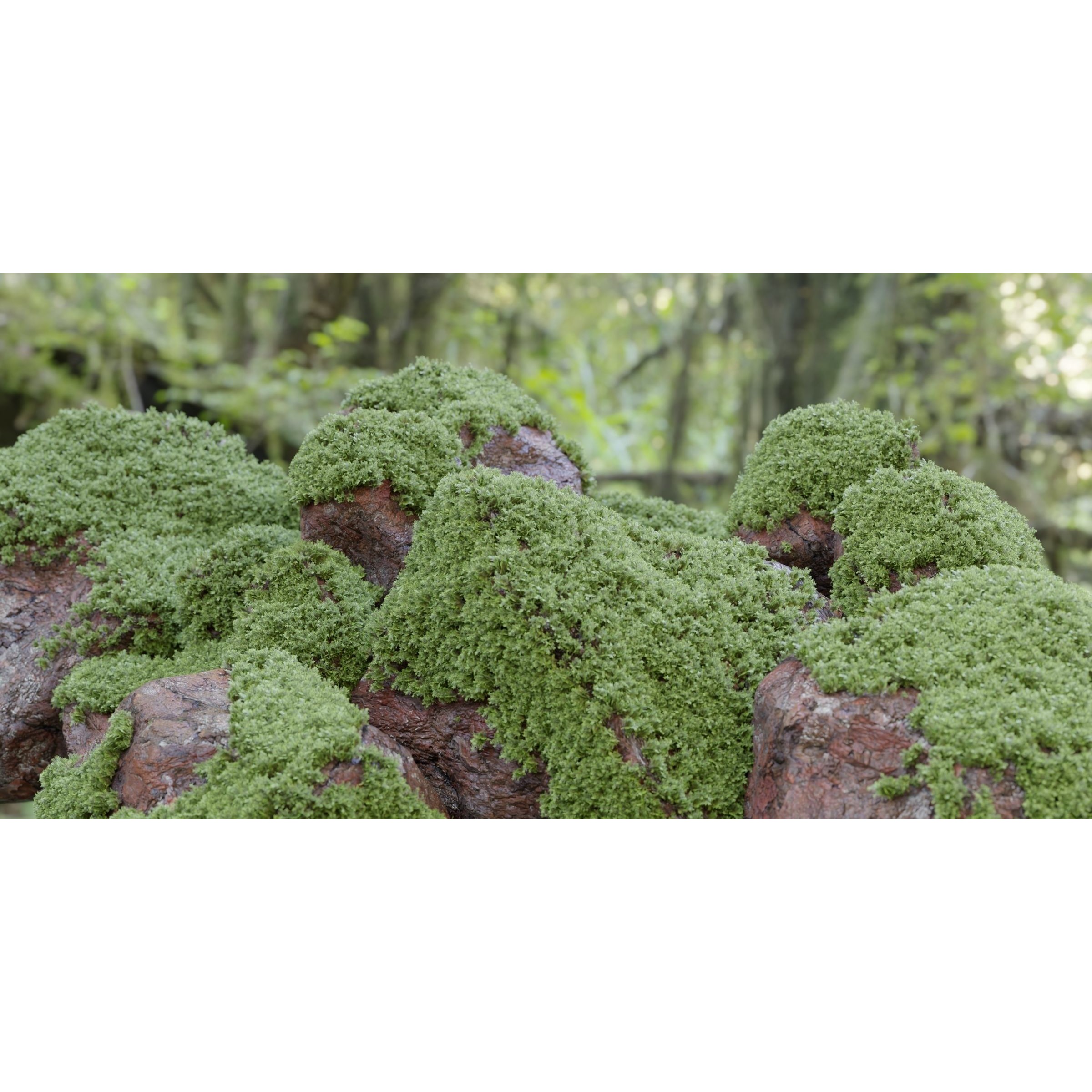 Mossy Rocks Garden Collection - Game-Ready 3D Model - View 10