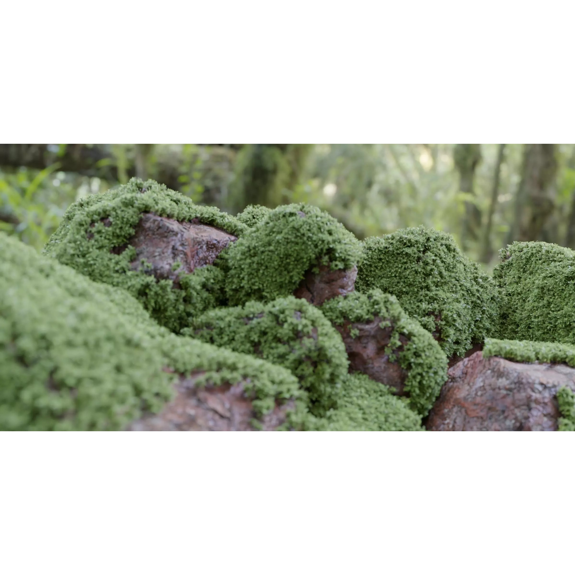 Mossy Rocks Garden Collection - Game-Ready 3D Model - View 2