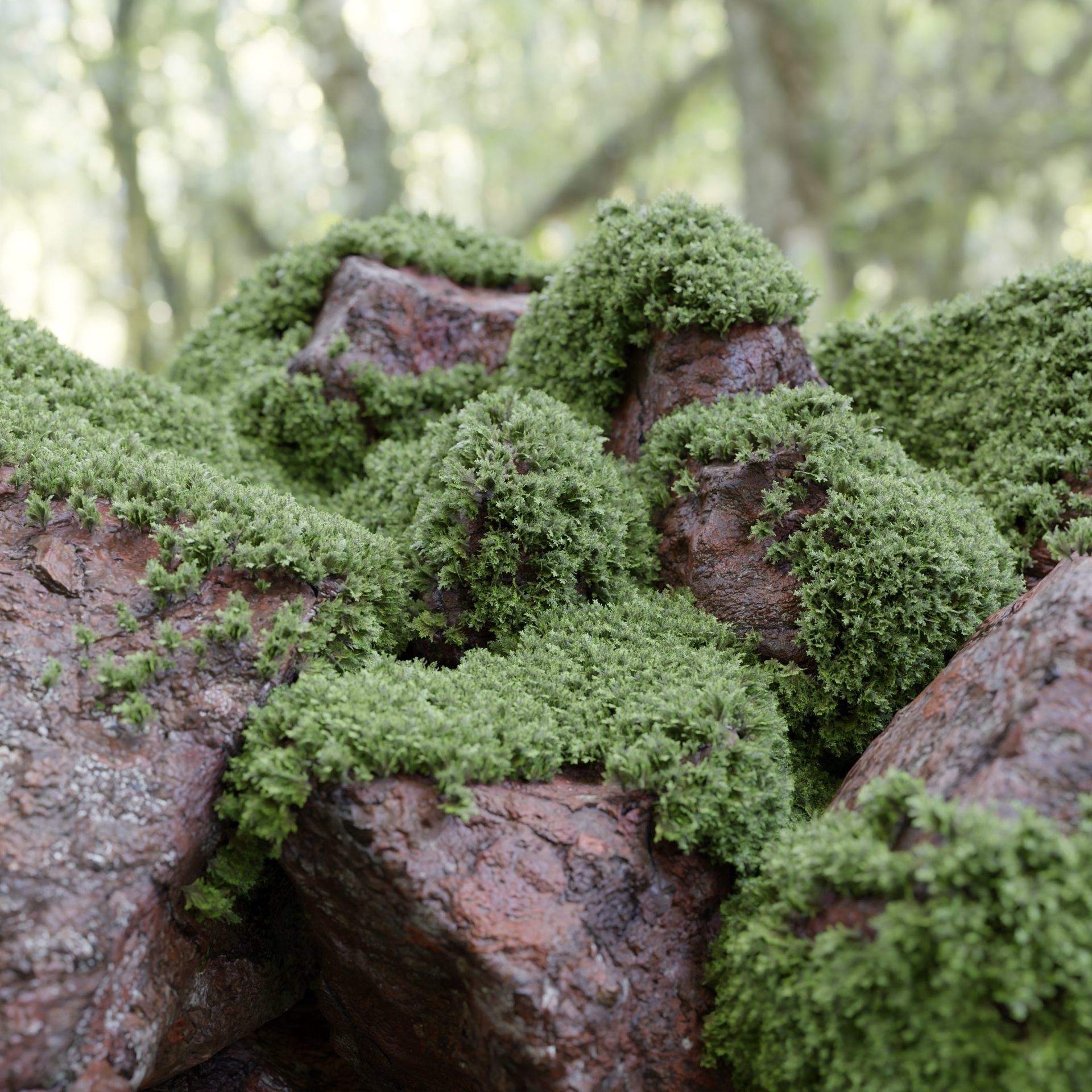 Mossy Rocks Garden Collection - Game-Ready 3D Model - View 3