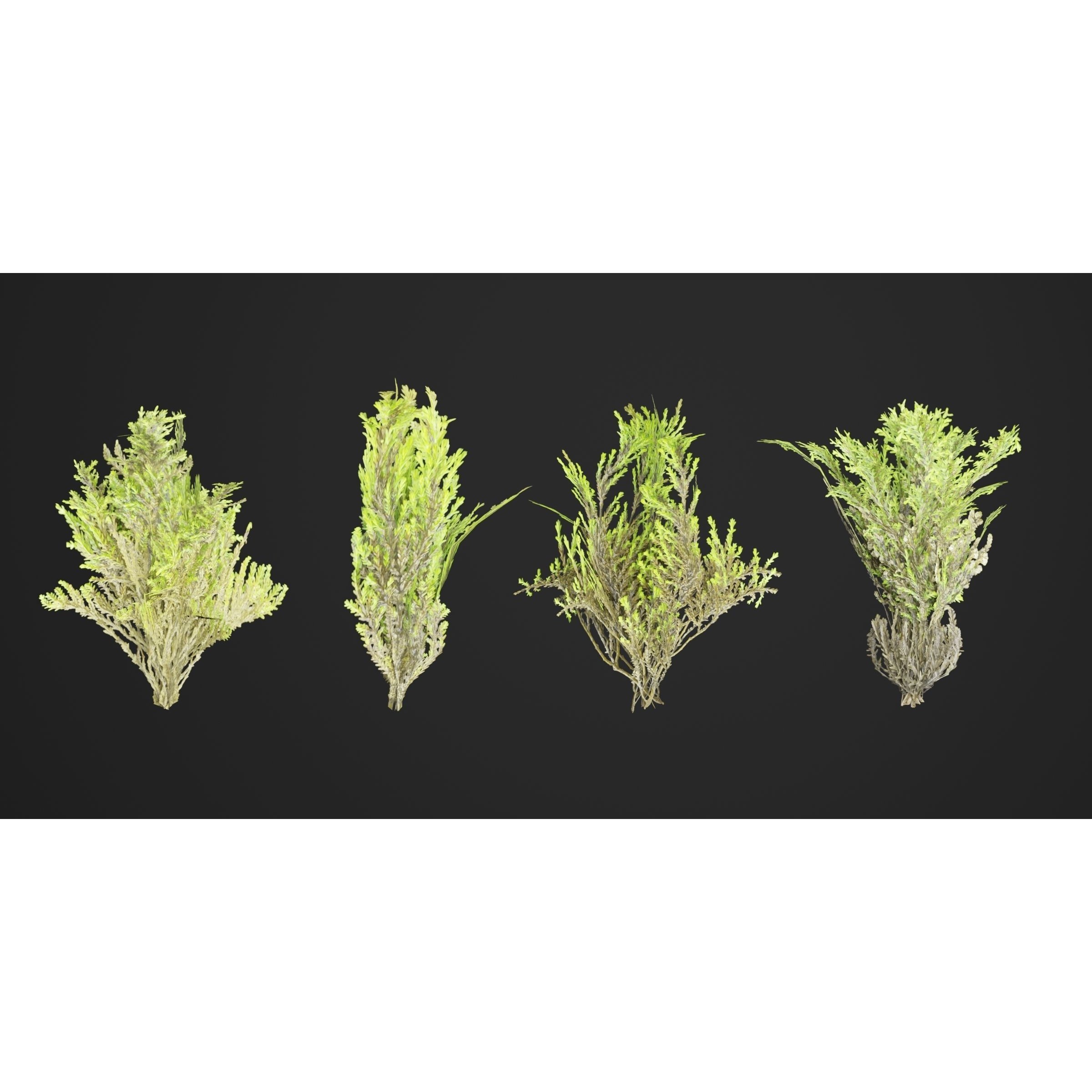 Mossy Rocks Garden Collection - Game-Ready 3D Model - View 8