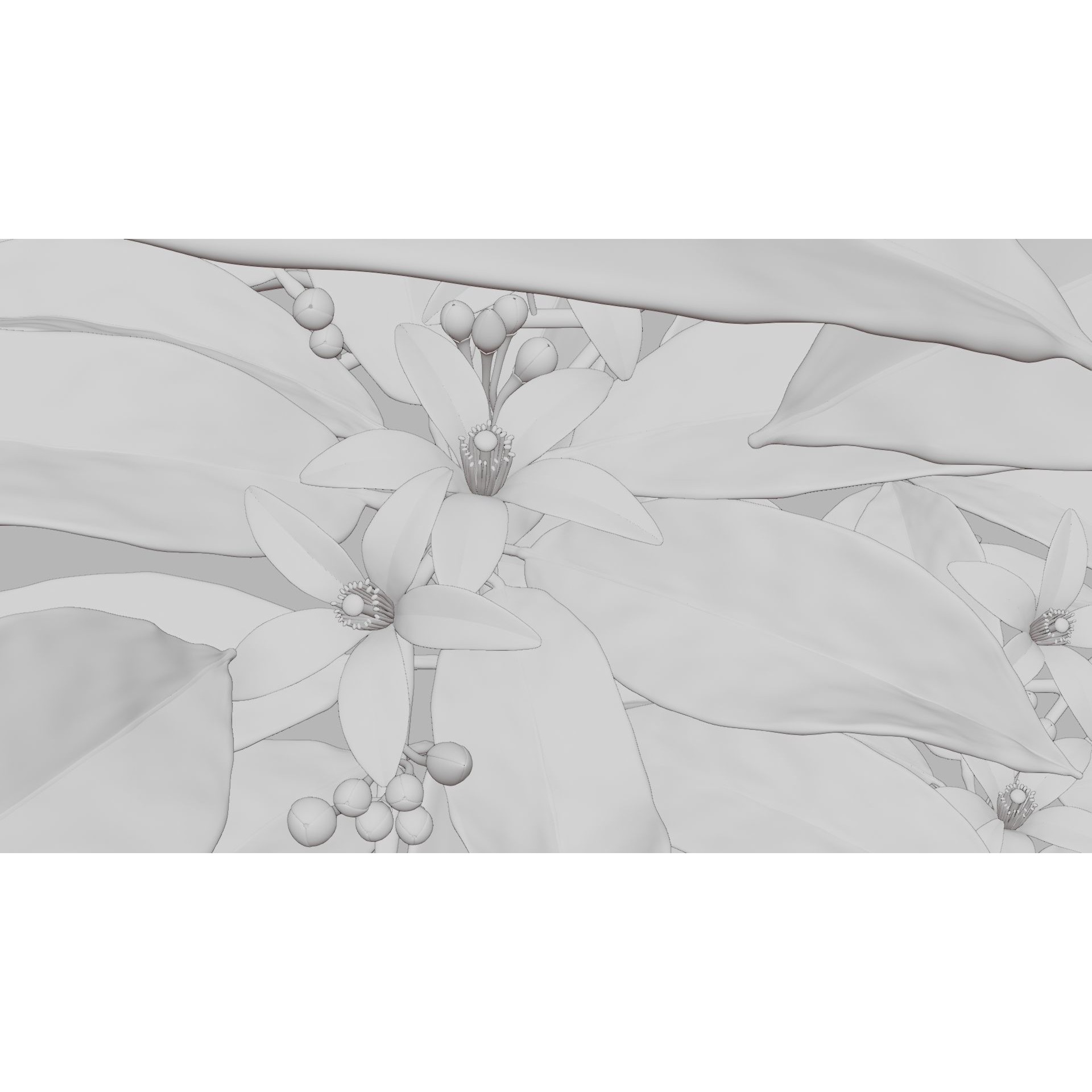 Neroli Orange Blossom - Low-Poly Game-Ready 3D Model - View 6