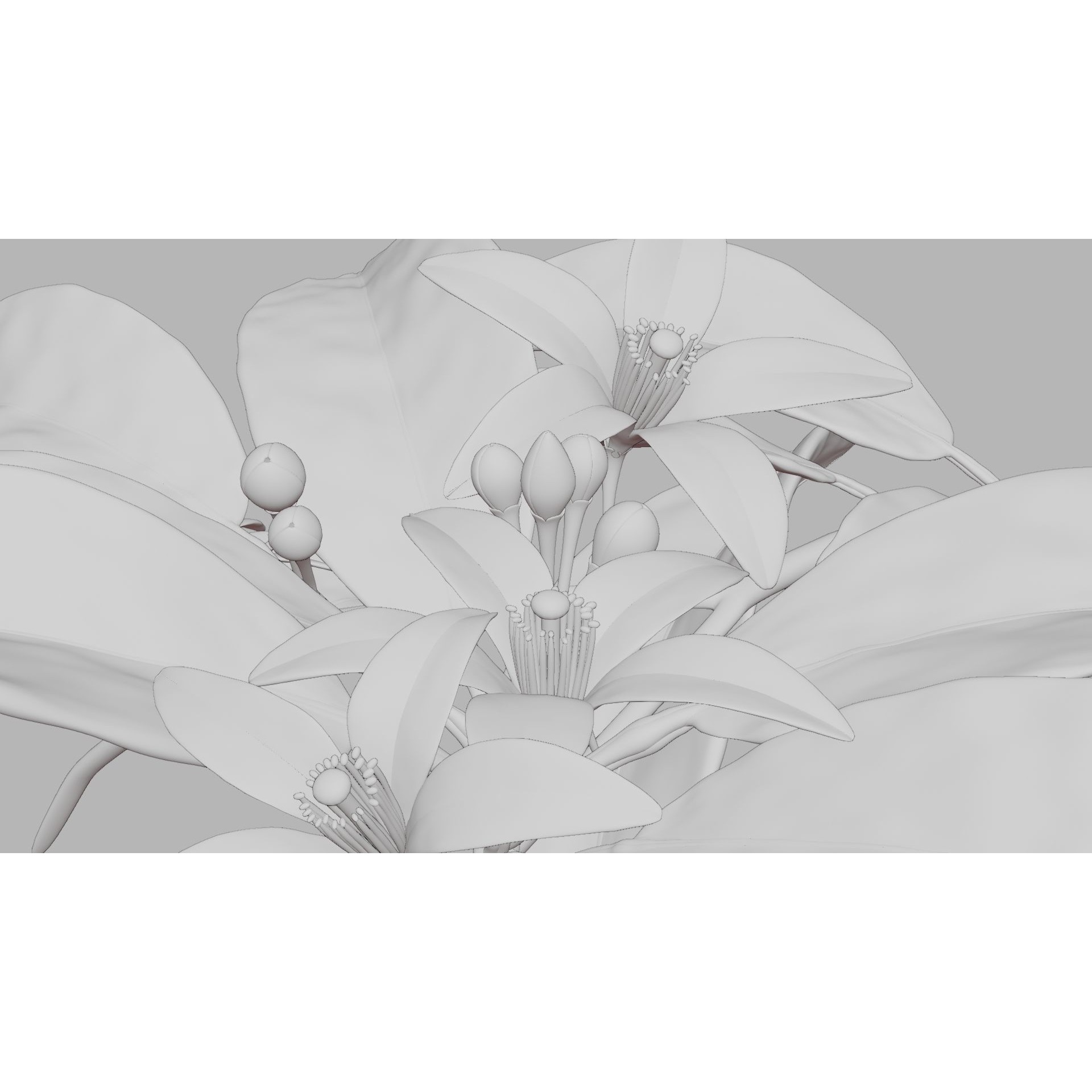 Neroli Orange Blossom - Low-Poly Game-Ready 3D Model - View 9