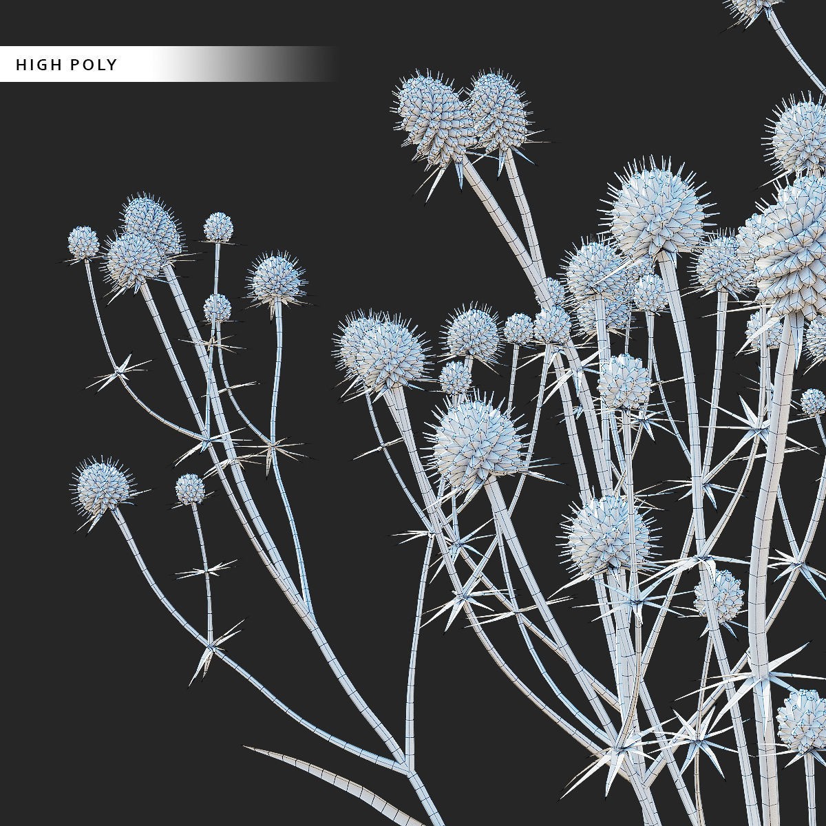 Eryngium Yuccifolium - Low-Poly 3D Model
