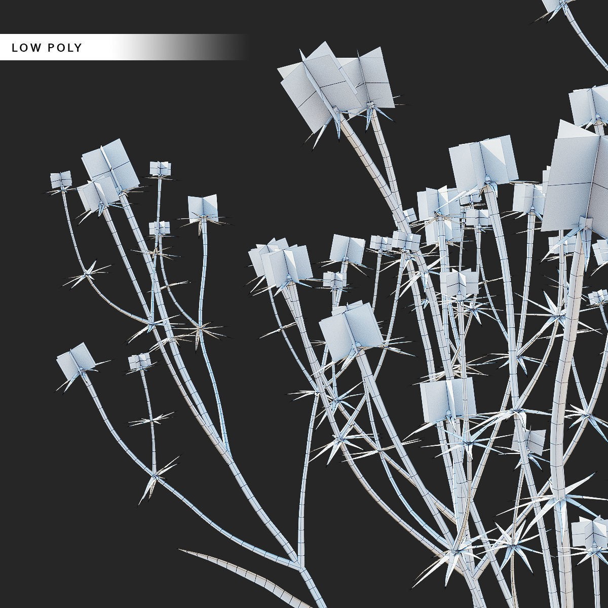 Eryngium Yuccifolium - Low-Poly 3D Model - View 19