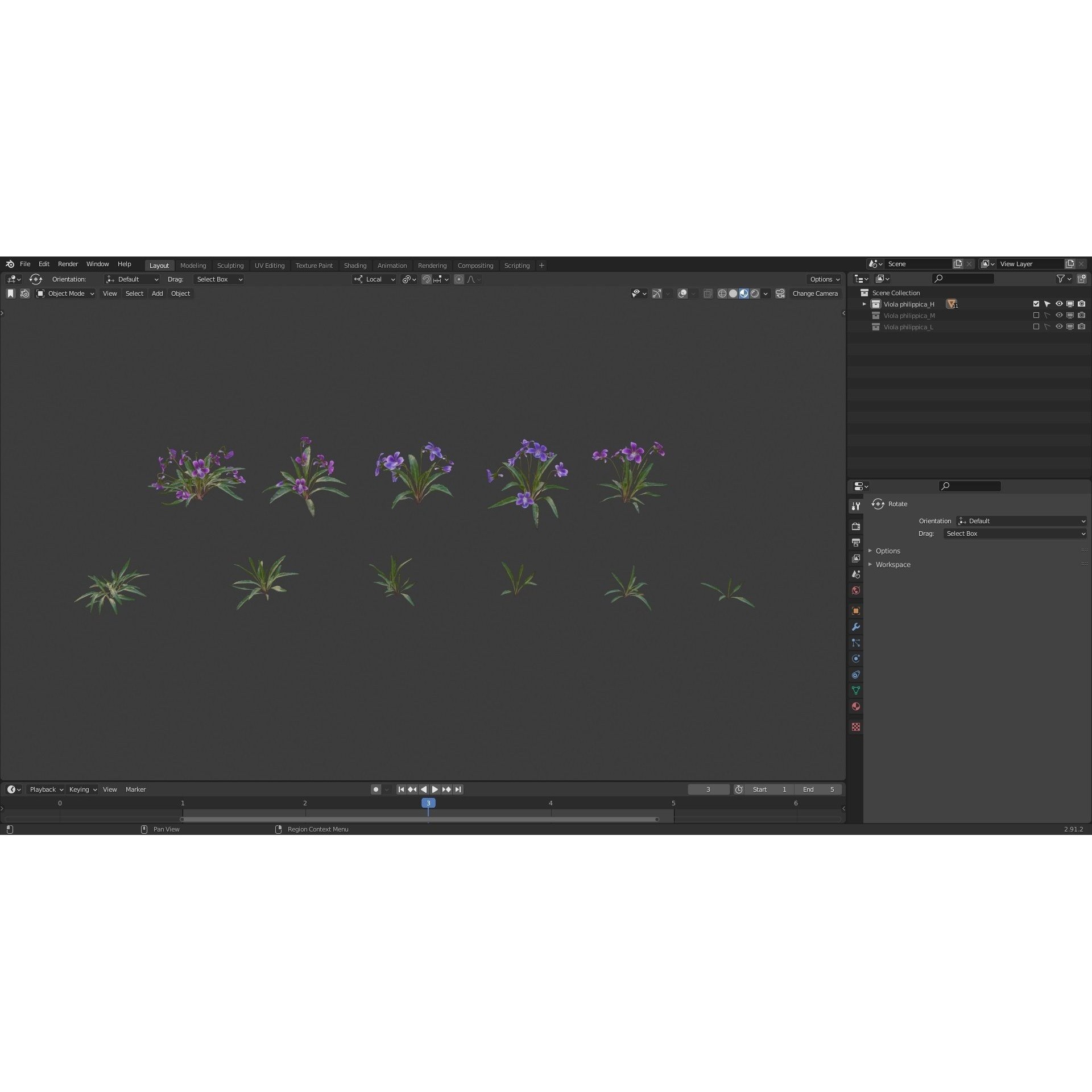 Viola Philippica - High-Quality 3D Model - View 8