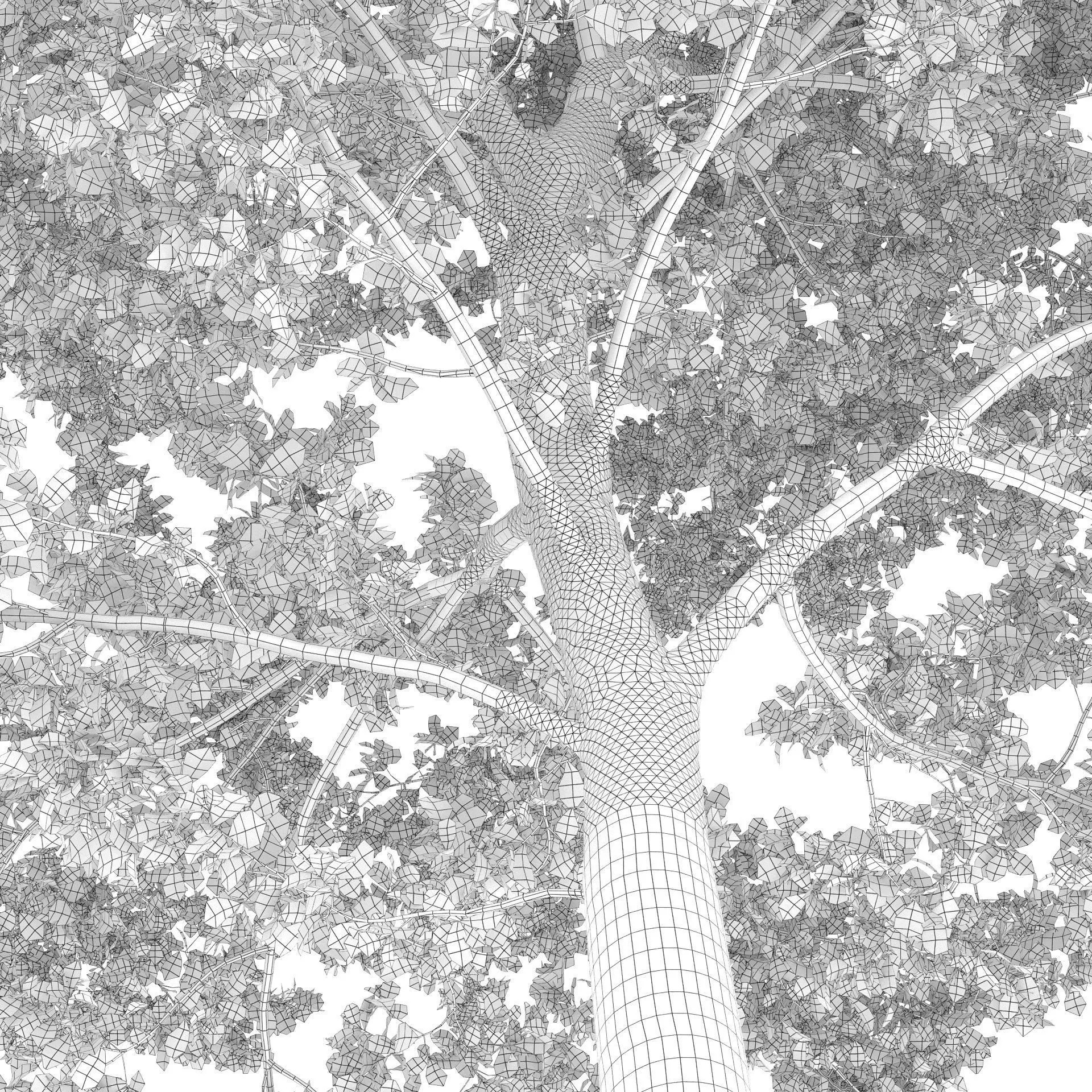 Quercus Collection - Game-Ready 3D Model