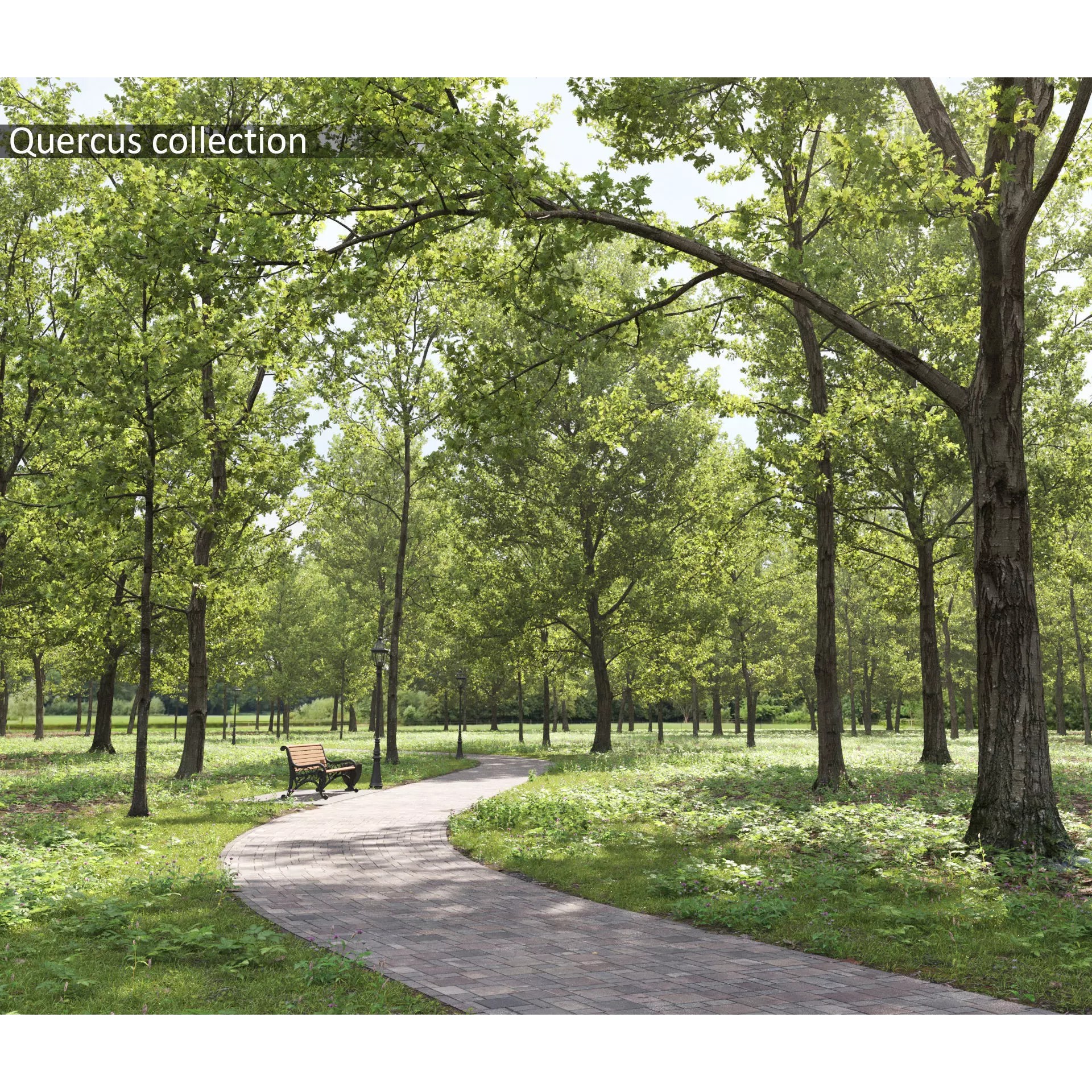 Quercus Collection - Game-Ready 3D Model - View 2
