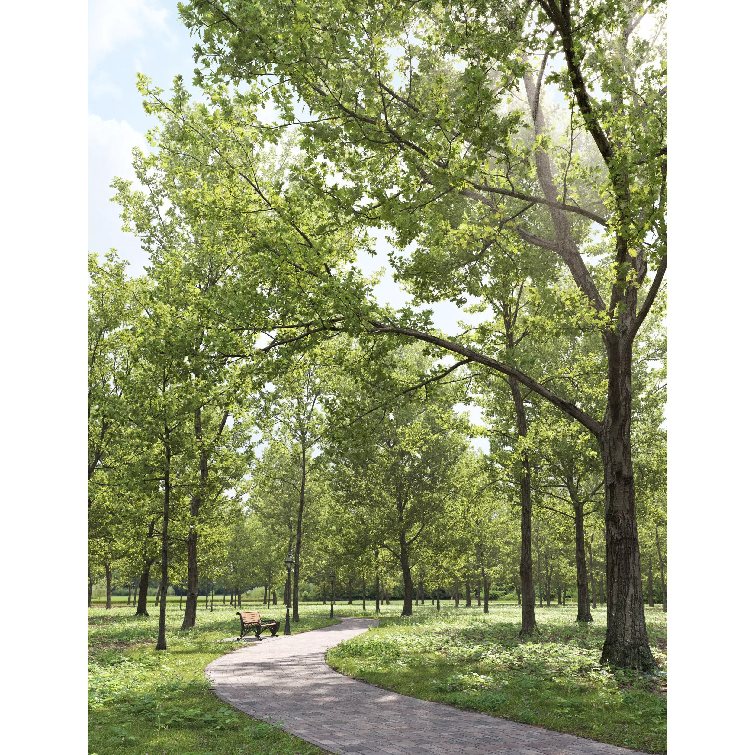 Quercus Collection - Game-Ready 3D Model - View 3