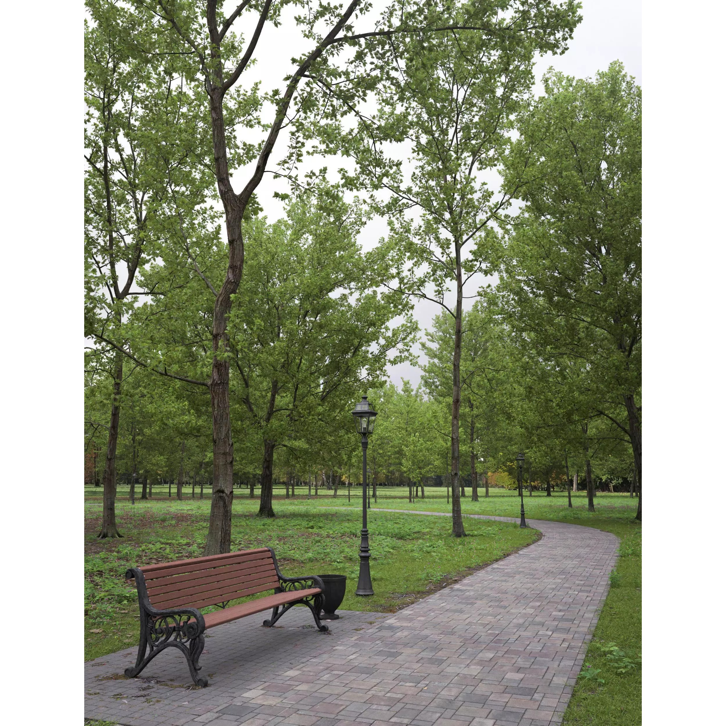 Quercus Collection - Game-Ready 3D Model - View 5